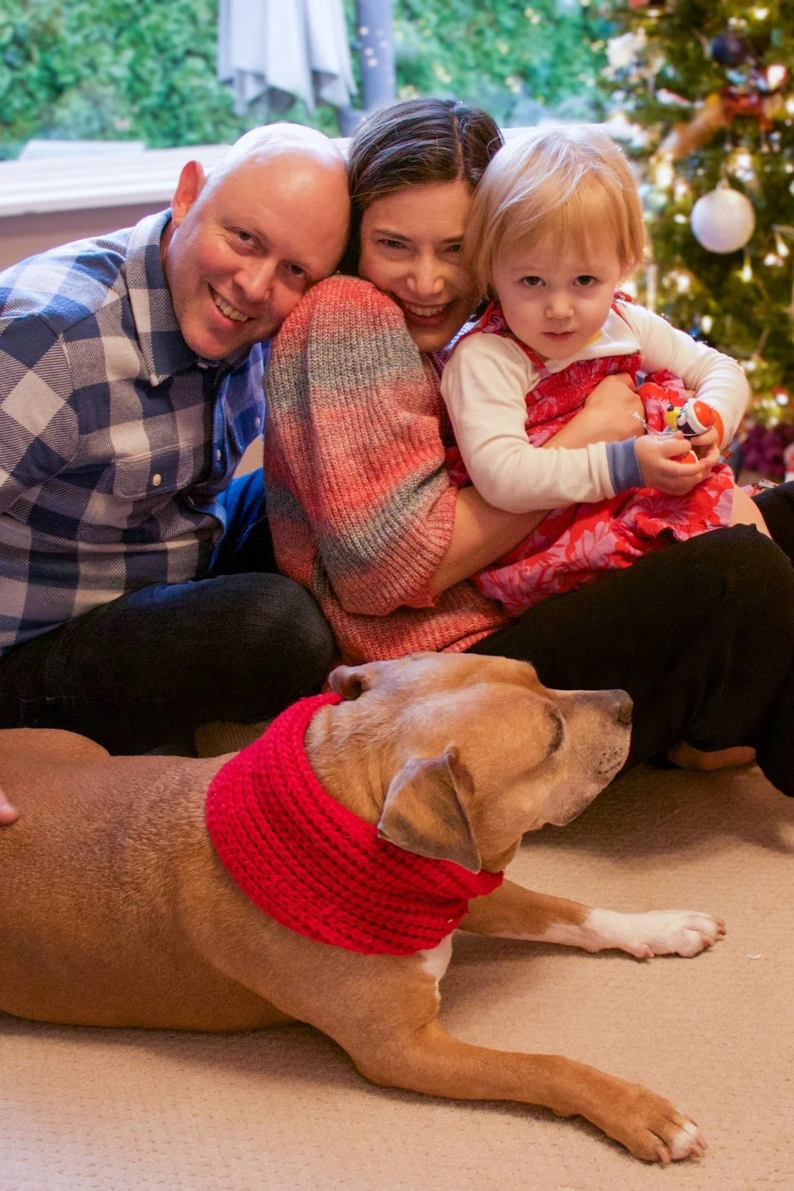 A family with a man, woman, and a young girl sitting together near a decorated Christmas tree, with a dog wearing a red scarf lying on the floor in front of them.  Family session, Redmond, WA.