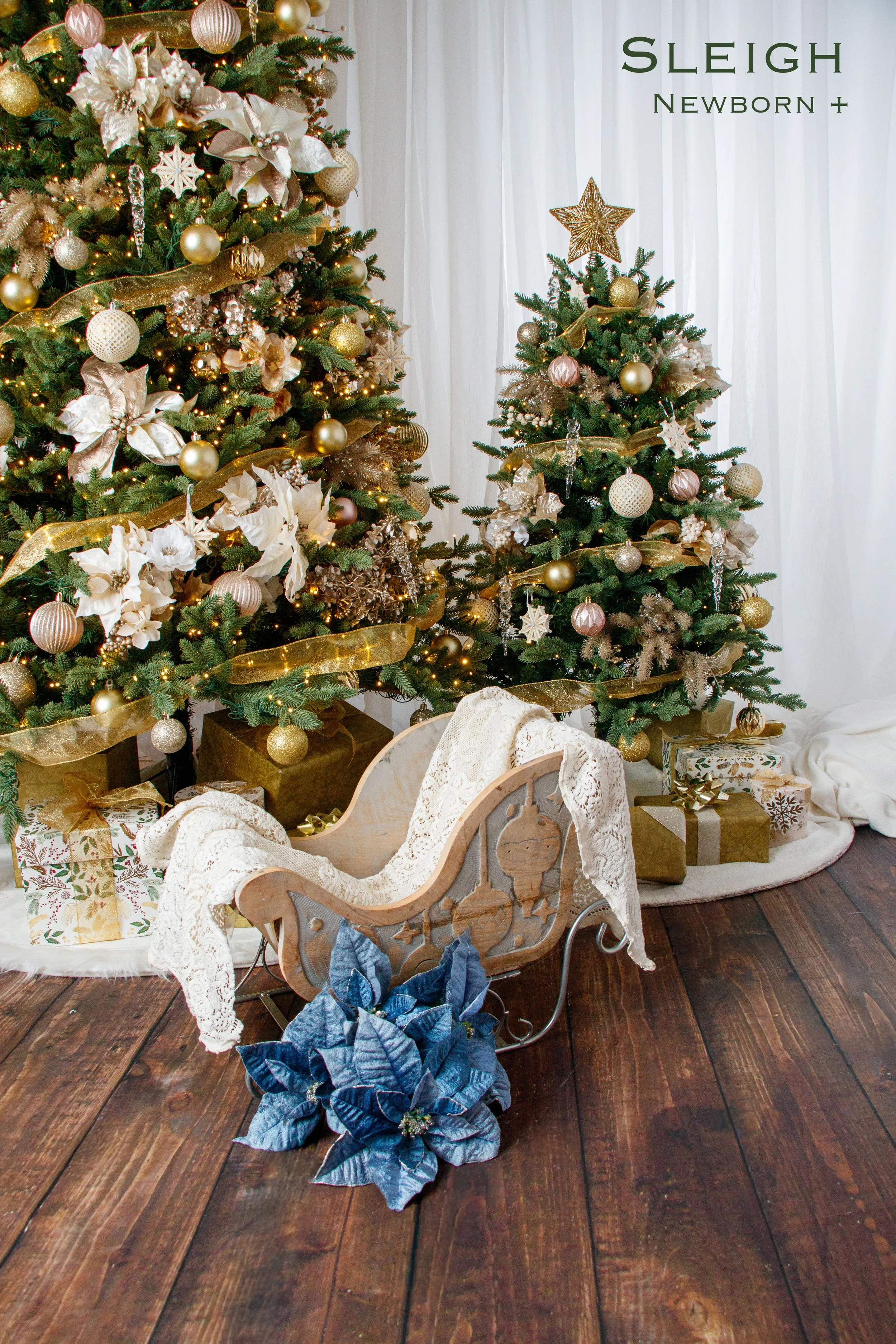 20251026 Holiday Session Props-10.jpg