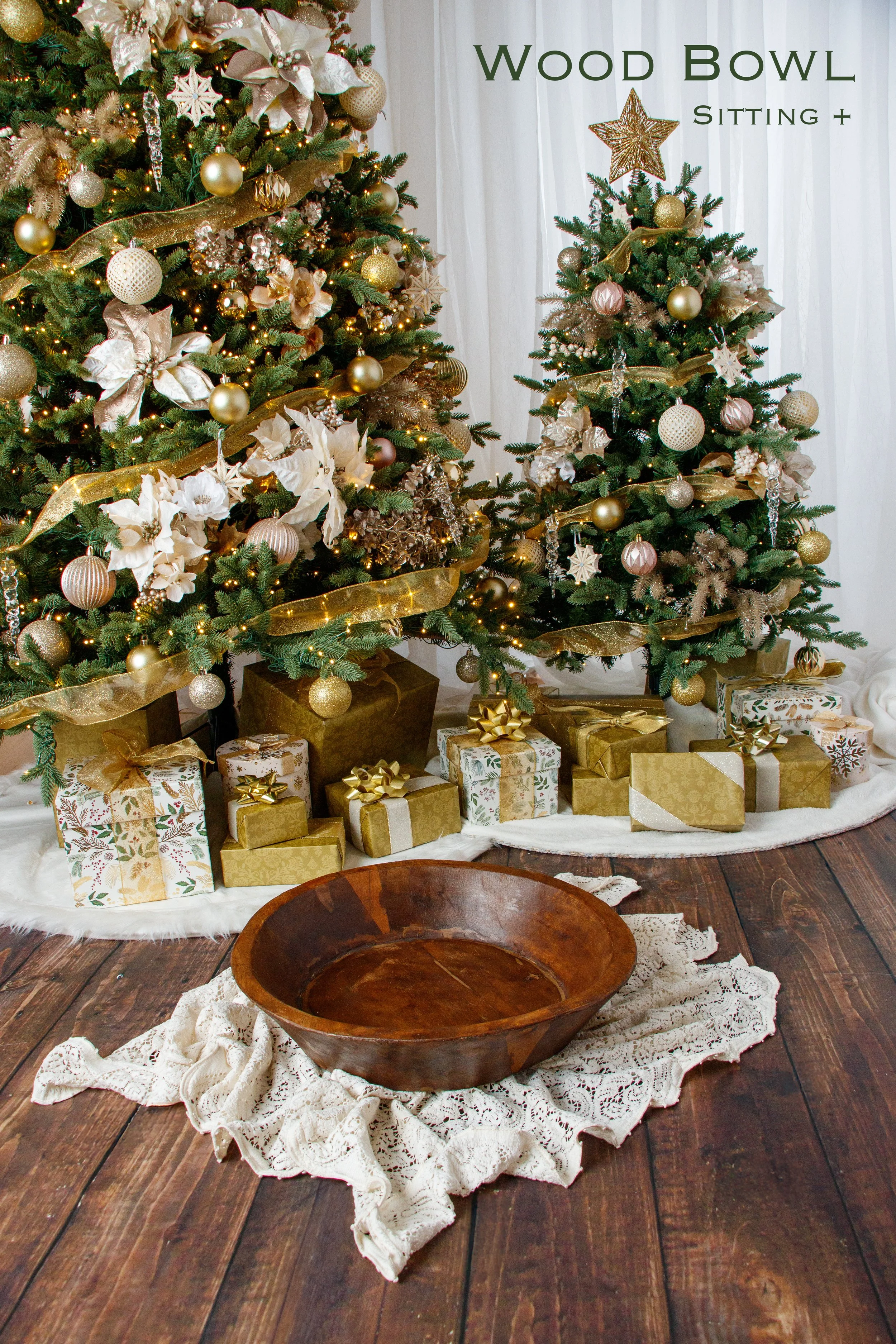 20251026 Holiday Session Props-07.jpg