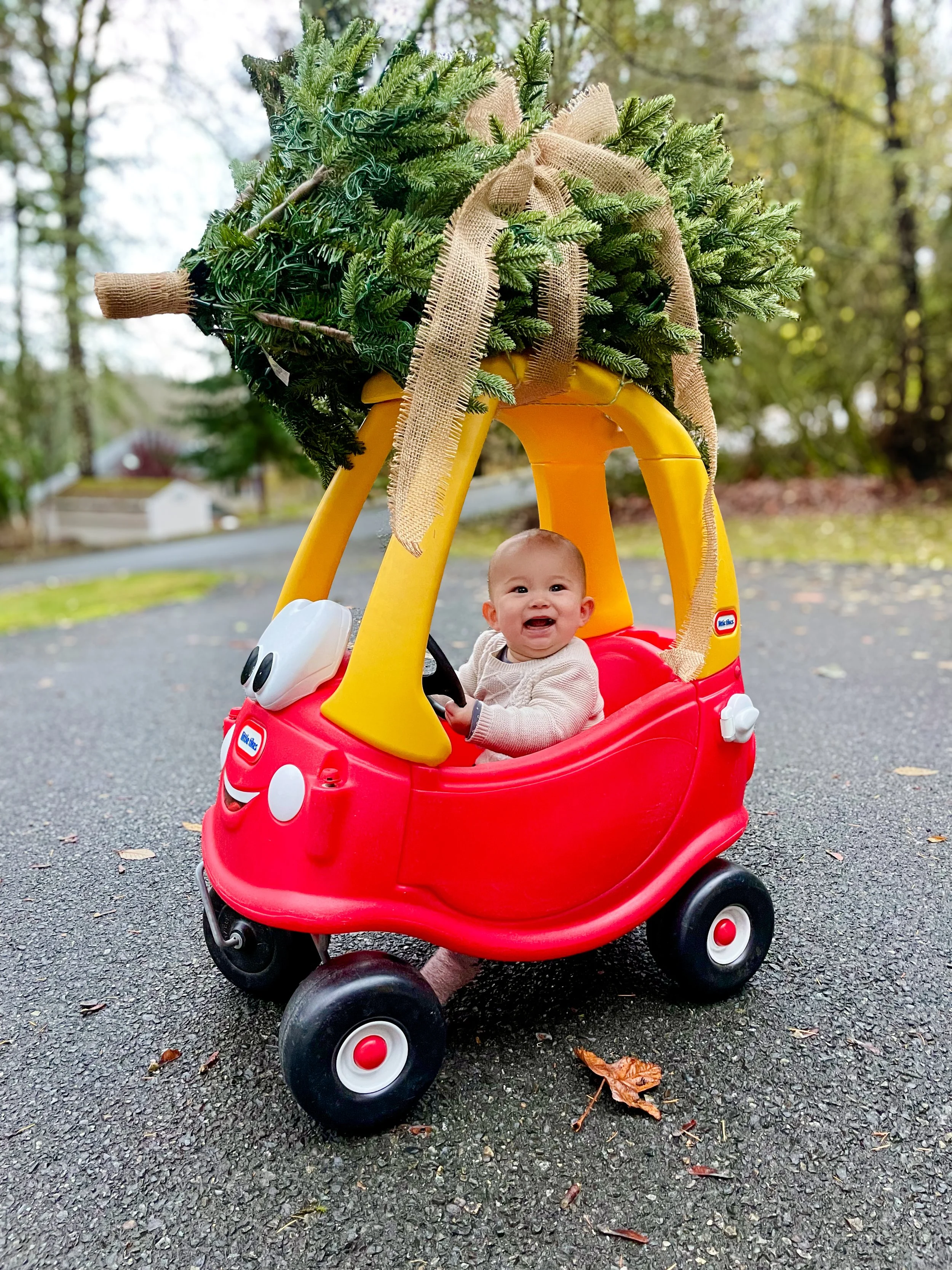 A smiling baby sitting in a red and yellow toy car with a Christmas tree on top, outdoors on a paved surface. (family session)