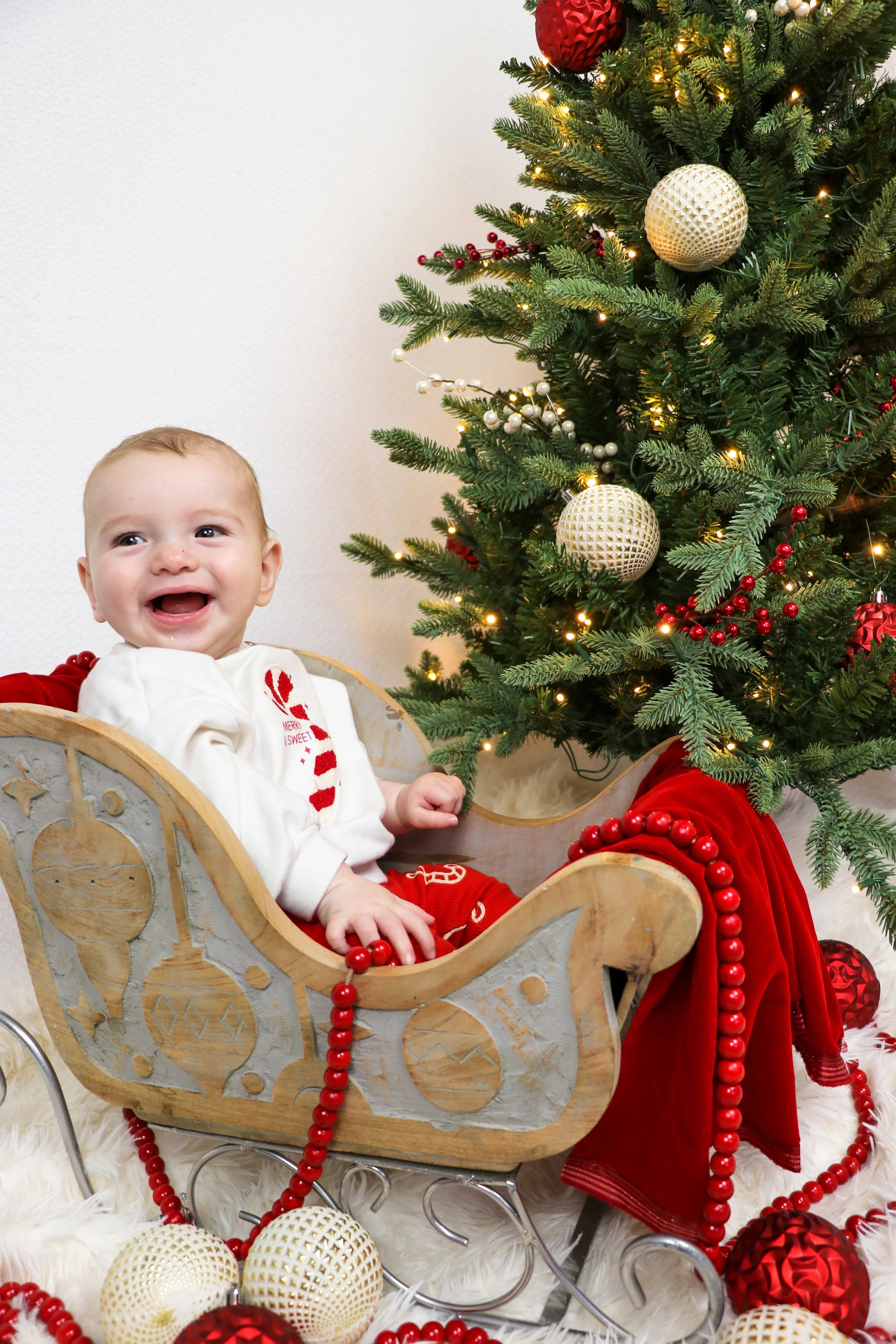 A smiling baby sitting in a wooden sleigh next to a decorated Christmas tree with white and red ornaments. (Sitter Session)