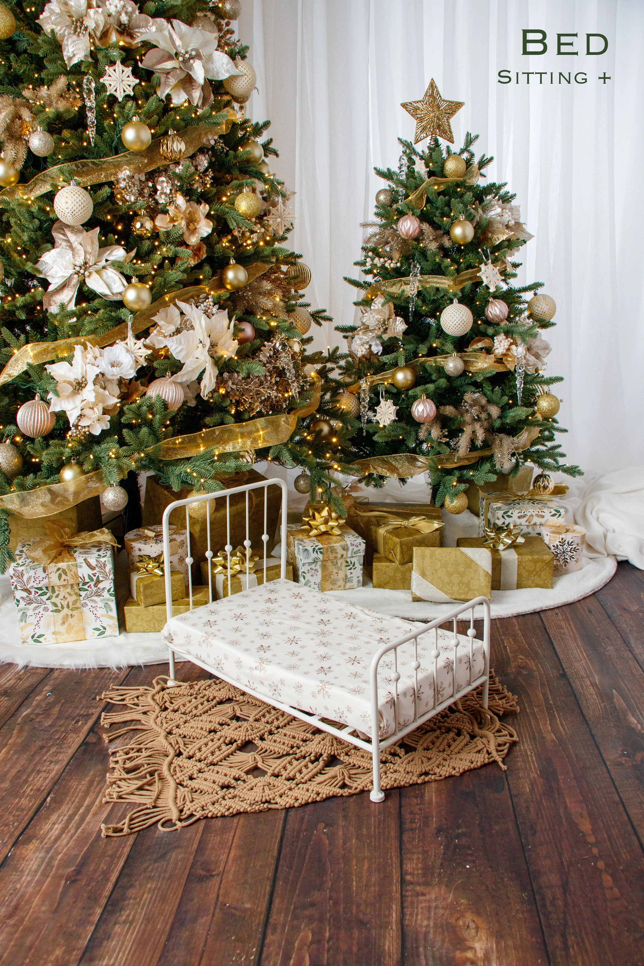 20251026 Holiday Session Props-06.jpg