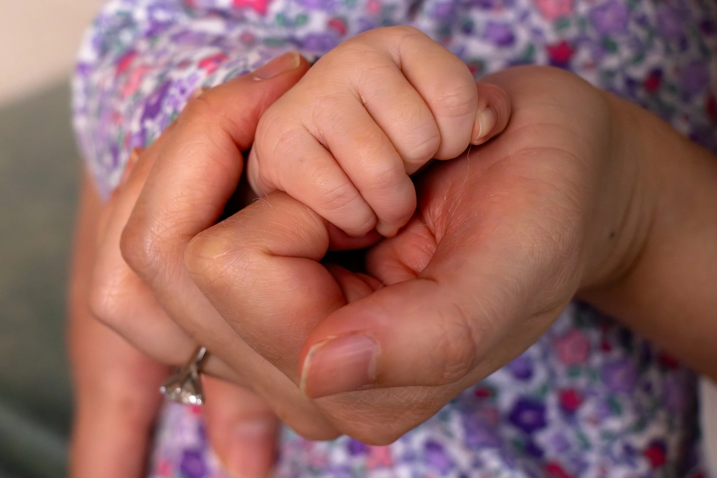 An adult hand gently holding a small child's hand, showing a close-up of their fingers intertwined. (newborn session)