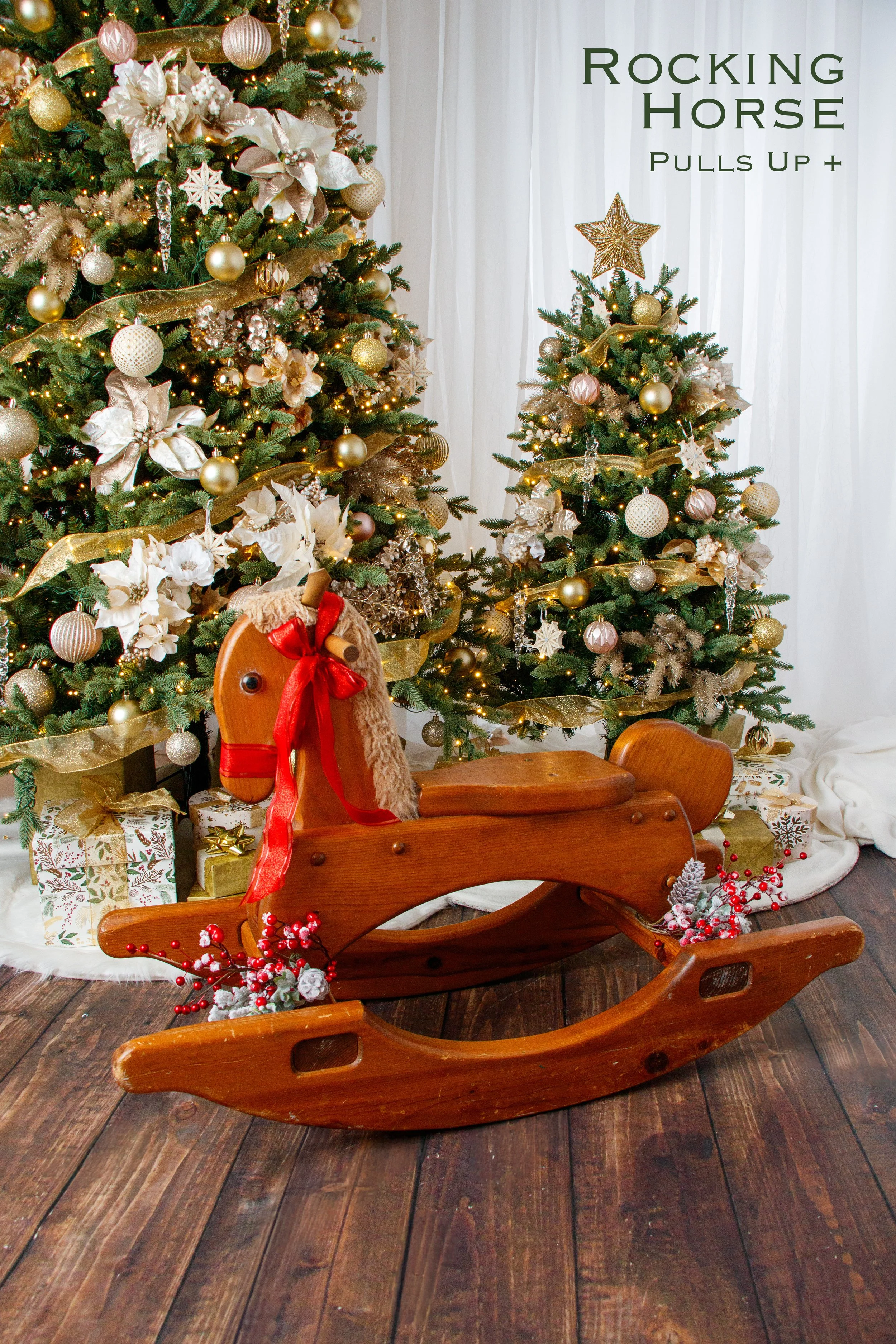 20251026 Holiday Session Props-09.jpg