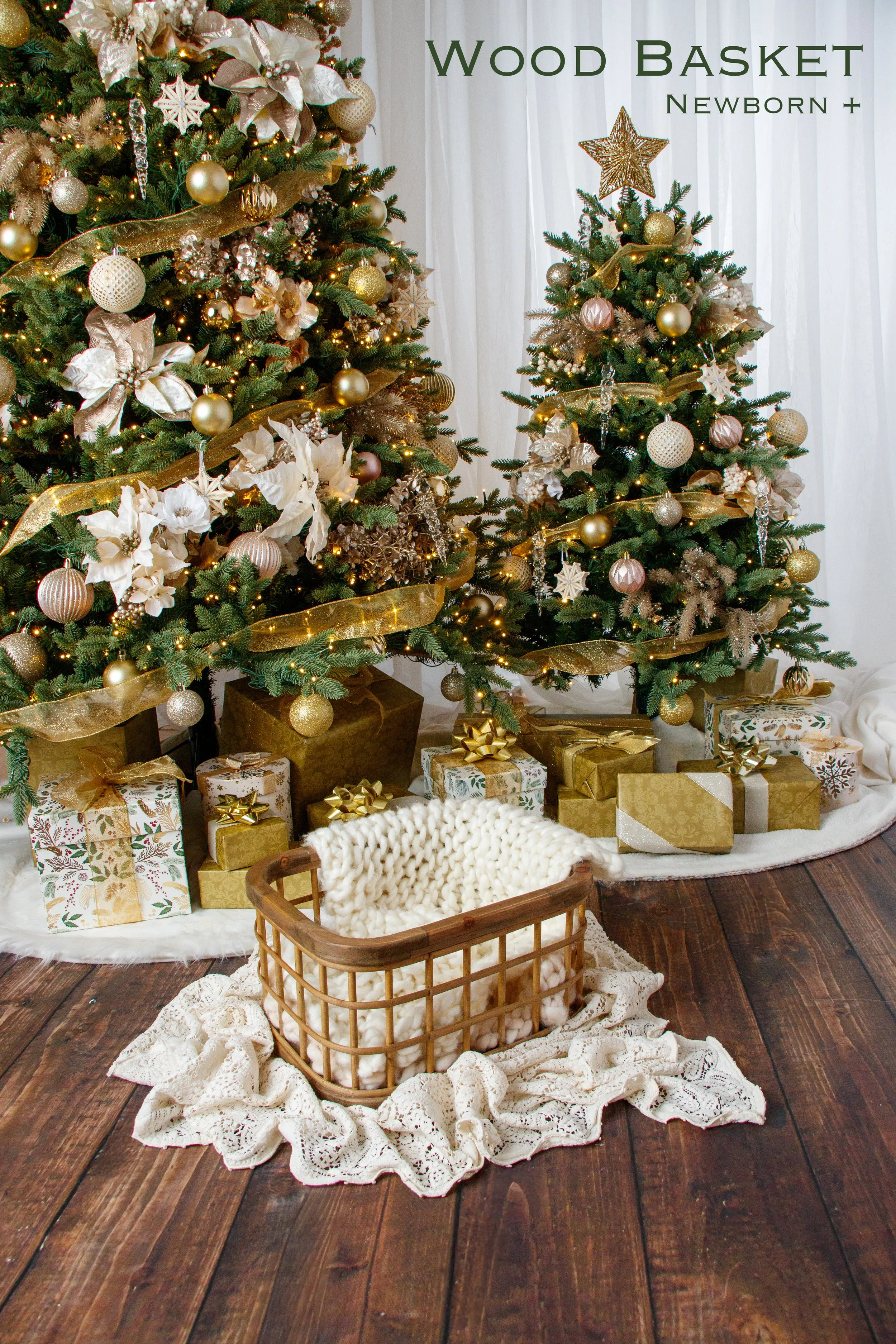 20251026 Holiday Session Props-04.jpg