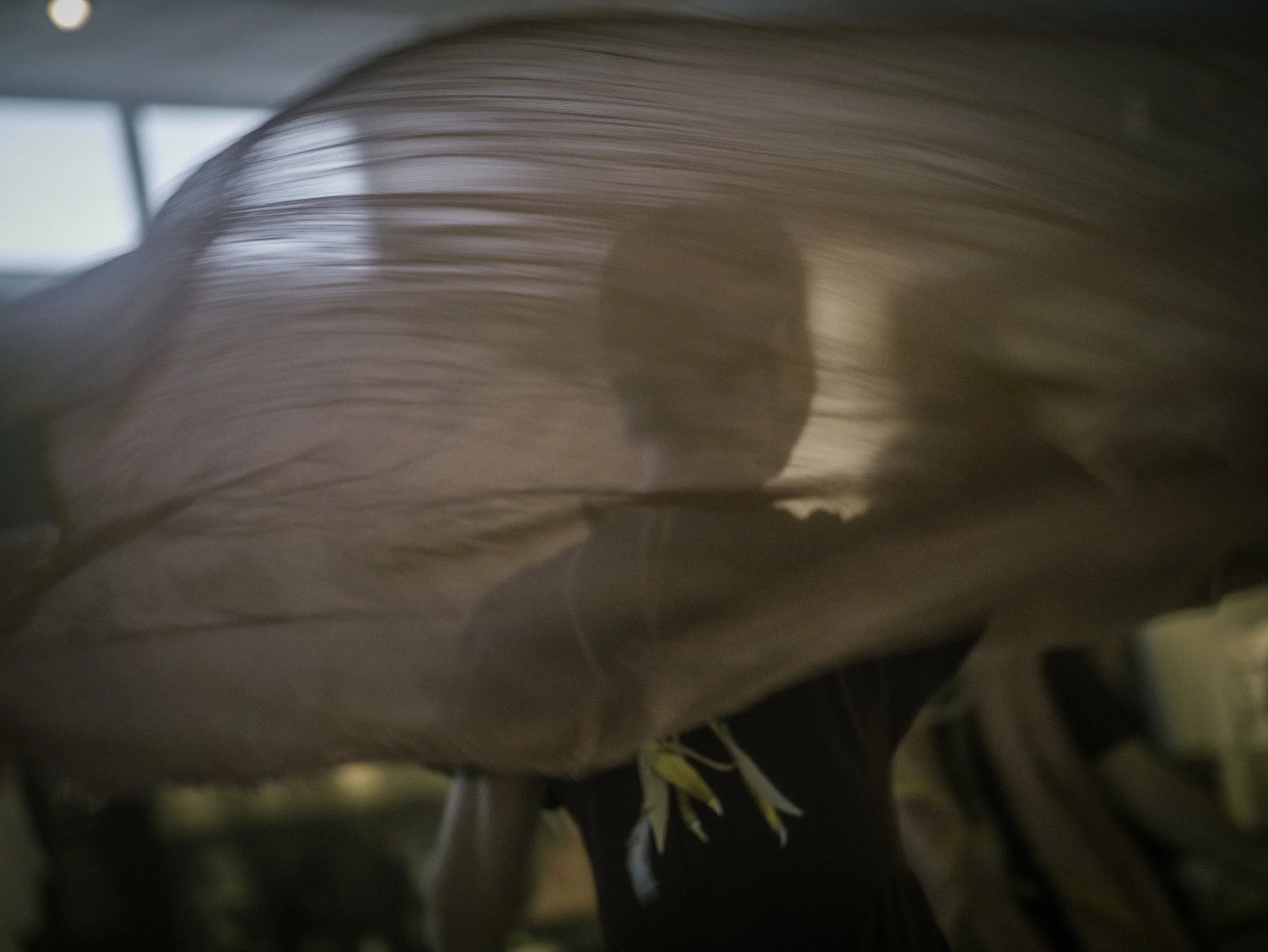 Queen Thessaloniki As A Shadow As A Dream photos Machine Motion PicturesPhoto #80.jpg