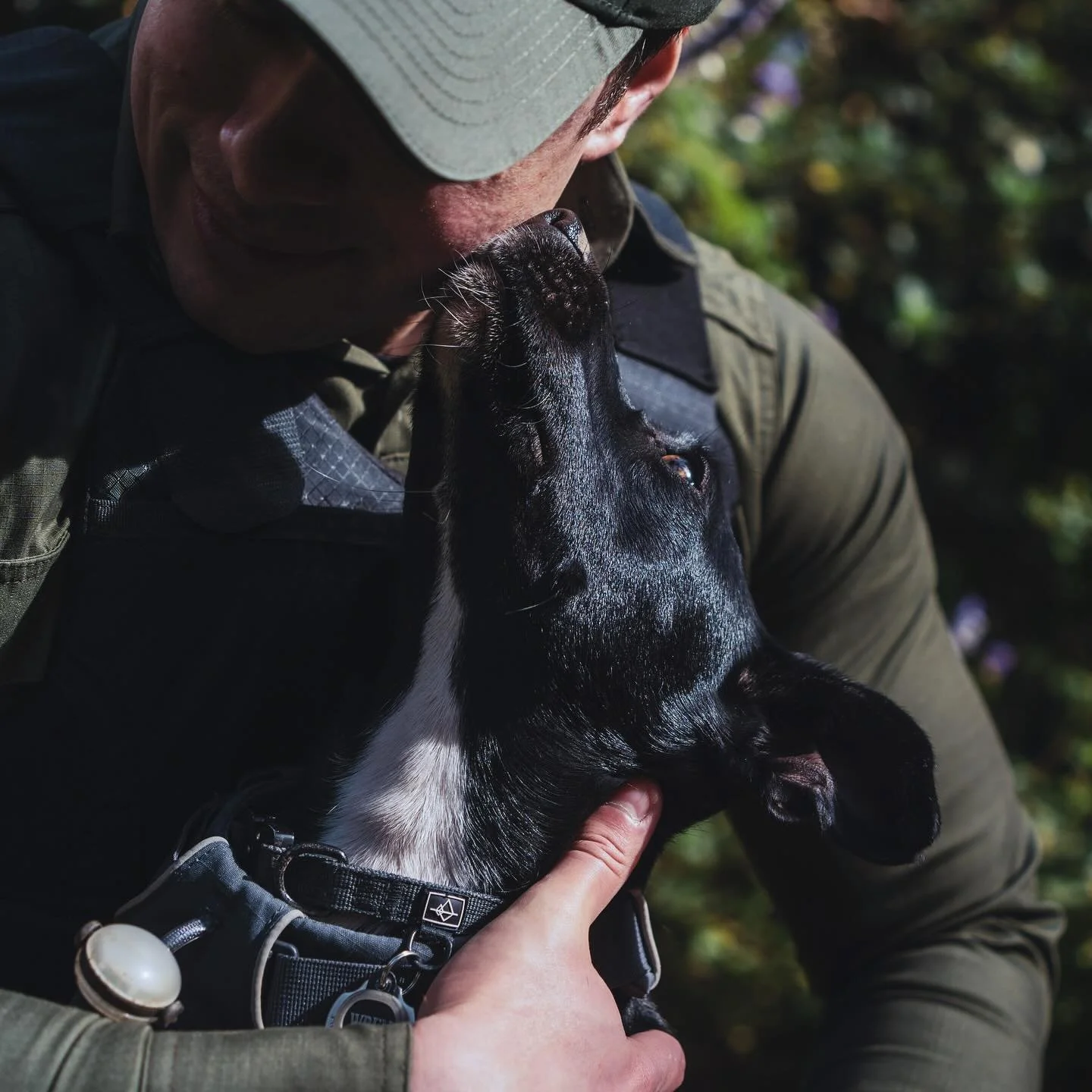 &ldquo;We can judge the heart of a man by his treatment of animals.&rdquo; - Immanuel Kant
.
.
.
.
.
.
.
.
.
.

#animalrescue #dogs #cats #rescuework #adoptdontshop #fosterfail #strayanimalrescue #rescuedog