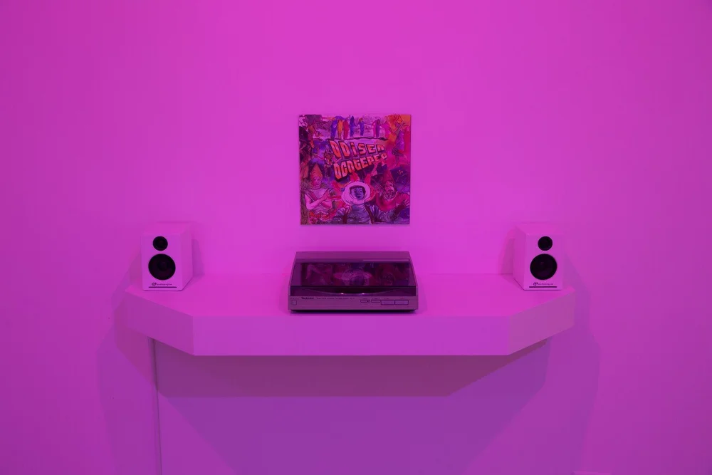  Installation view of artist Naomi Rincon-Gallardo's work in  Prometheus 2017: Four Artists Revisit Orozco  at the Pomona College Museum of Art, fall 2017 