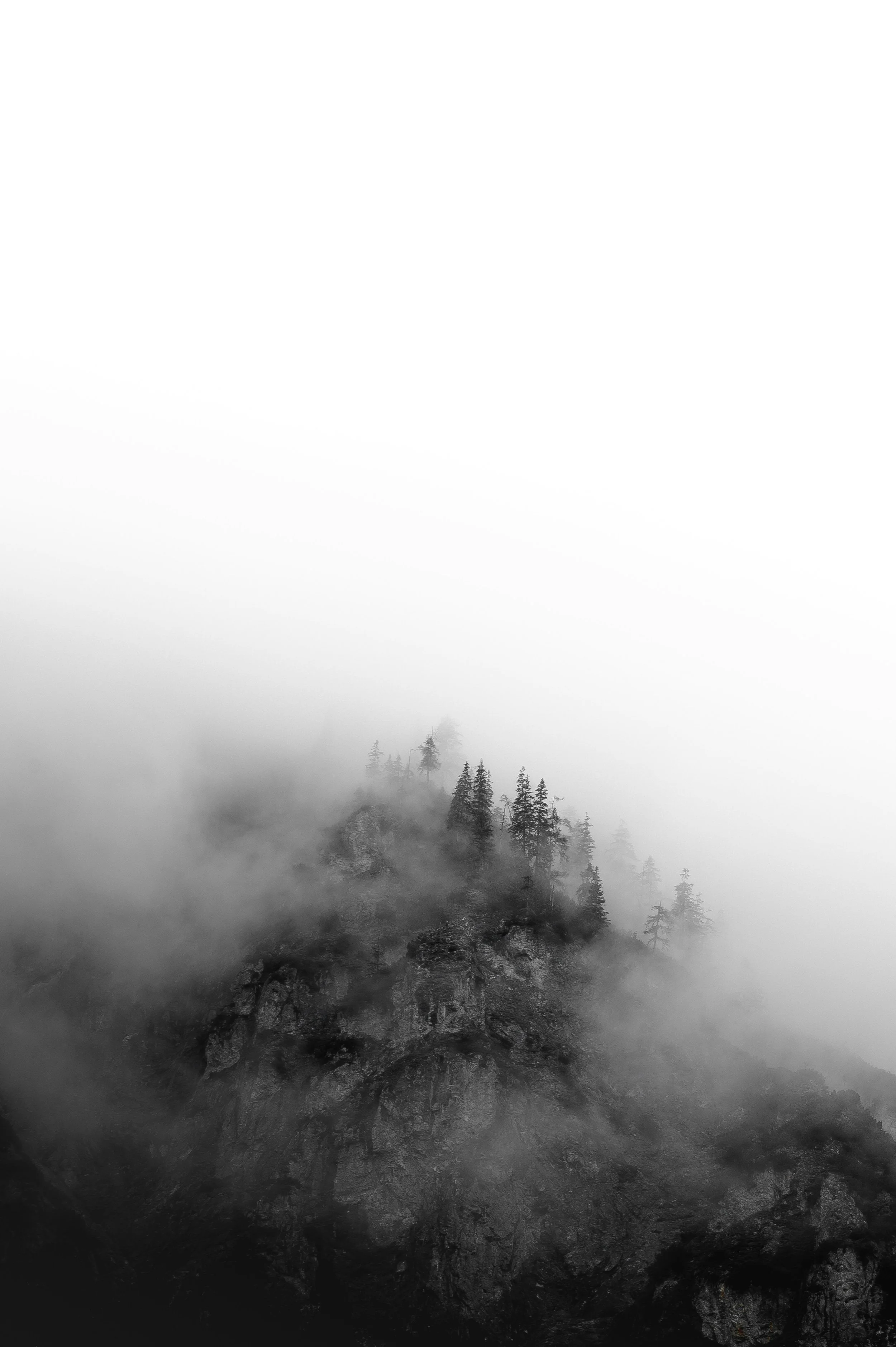 Why Solitude Matters for Creative Clarity in Business