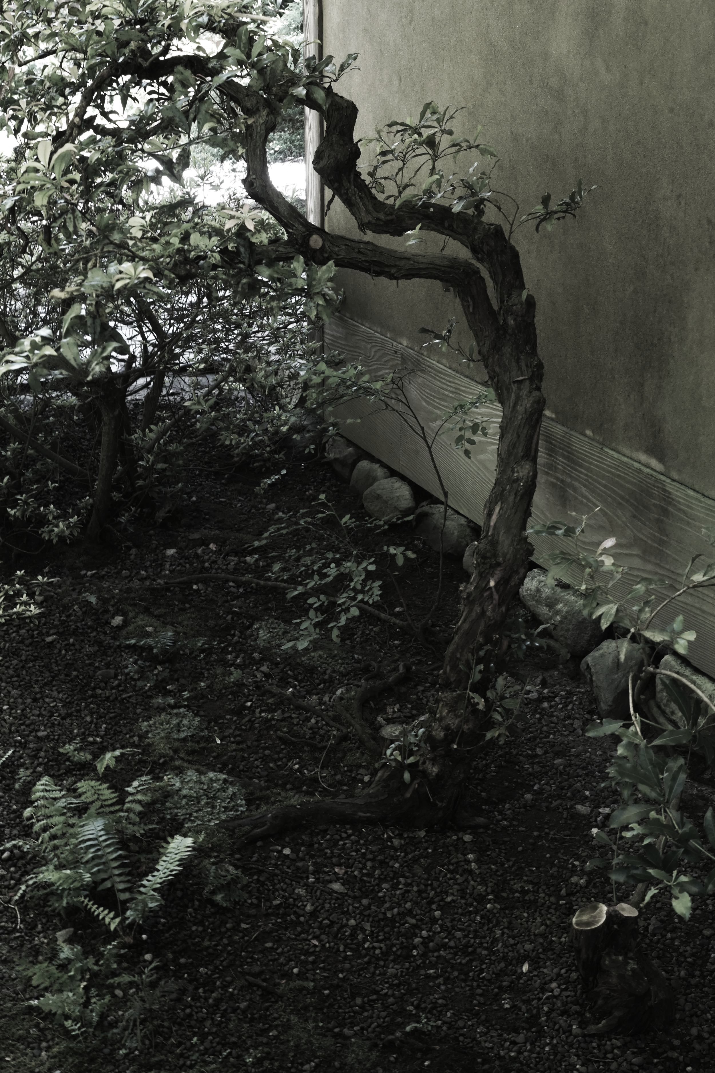 The Wisdom of Seasons Within Us