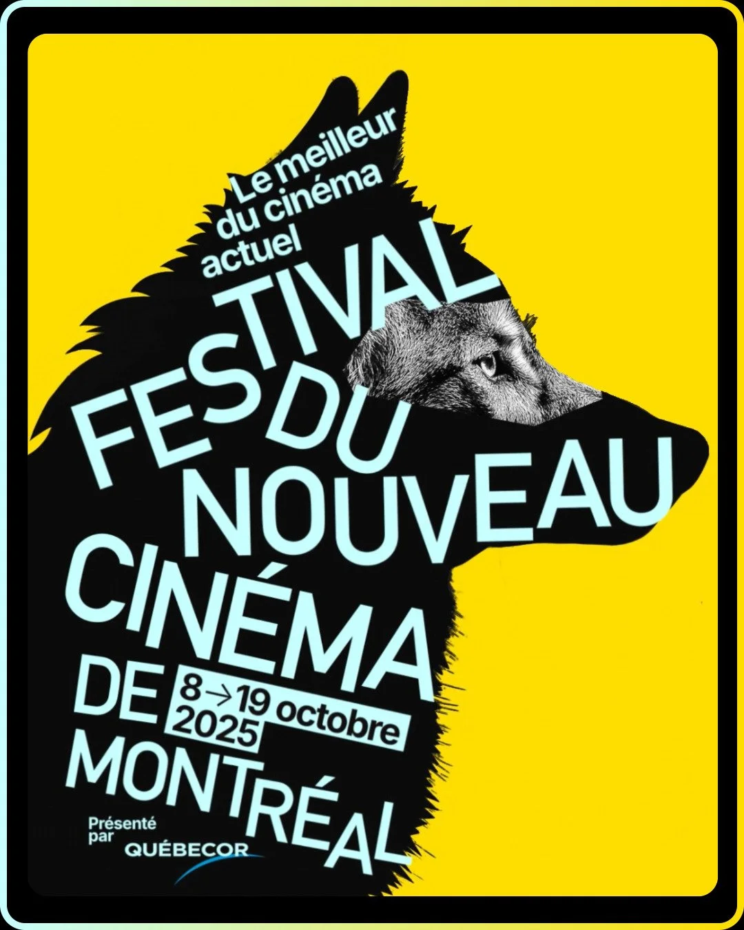 ACTUALITES 2025-6.jpeg