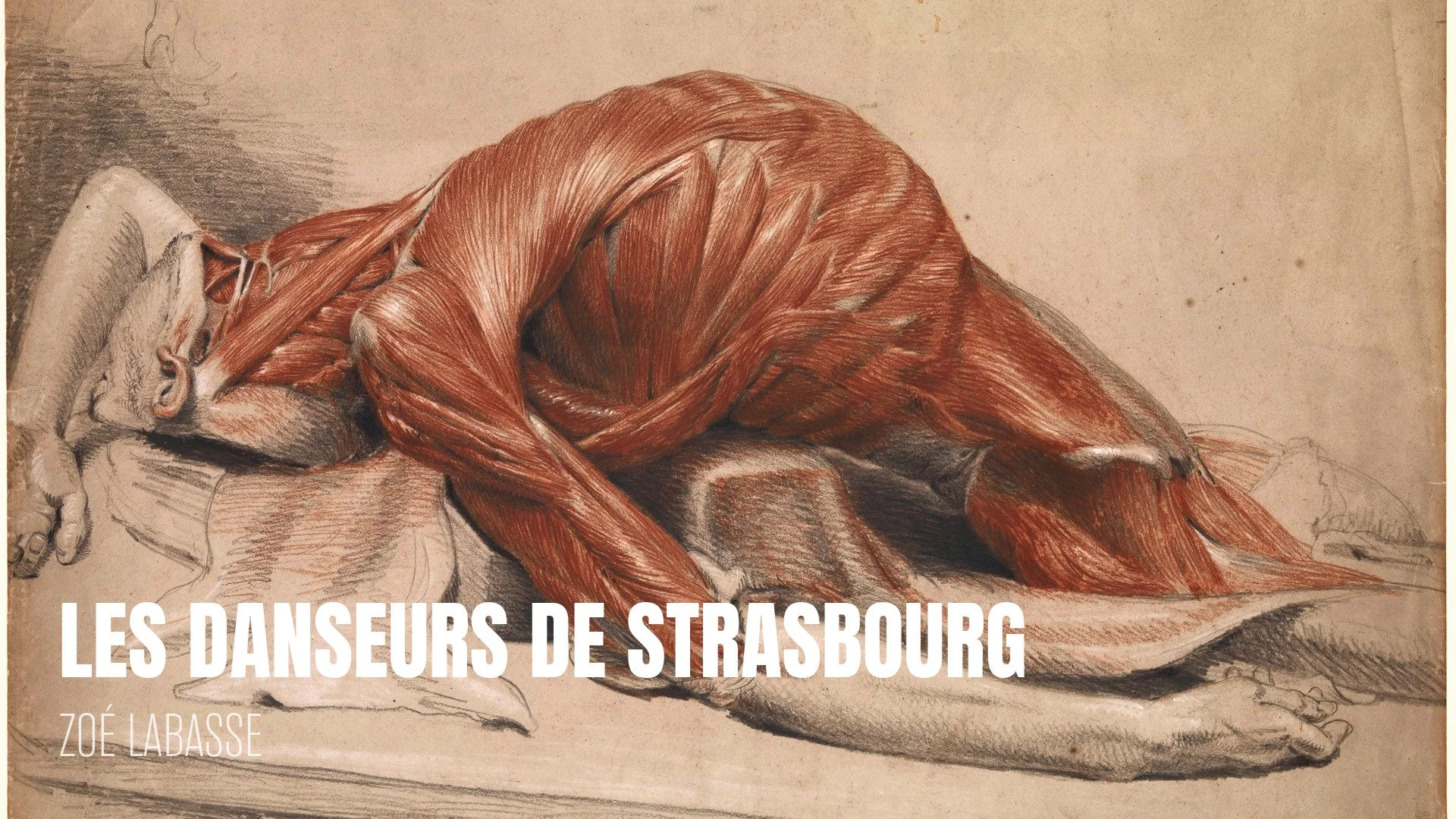 bannières FORMATS COURTS-36.jpeg