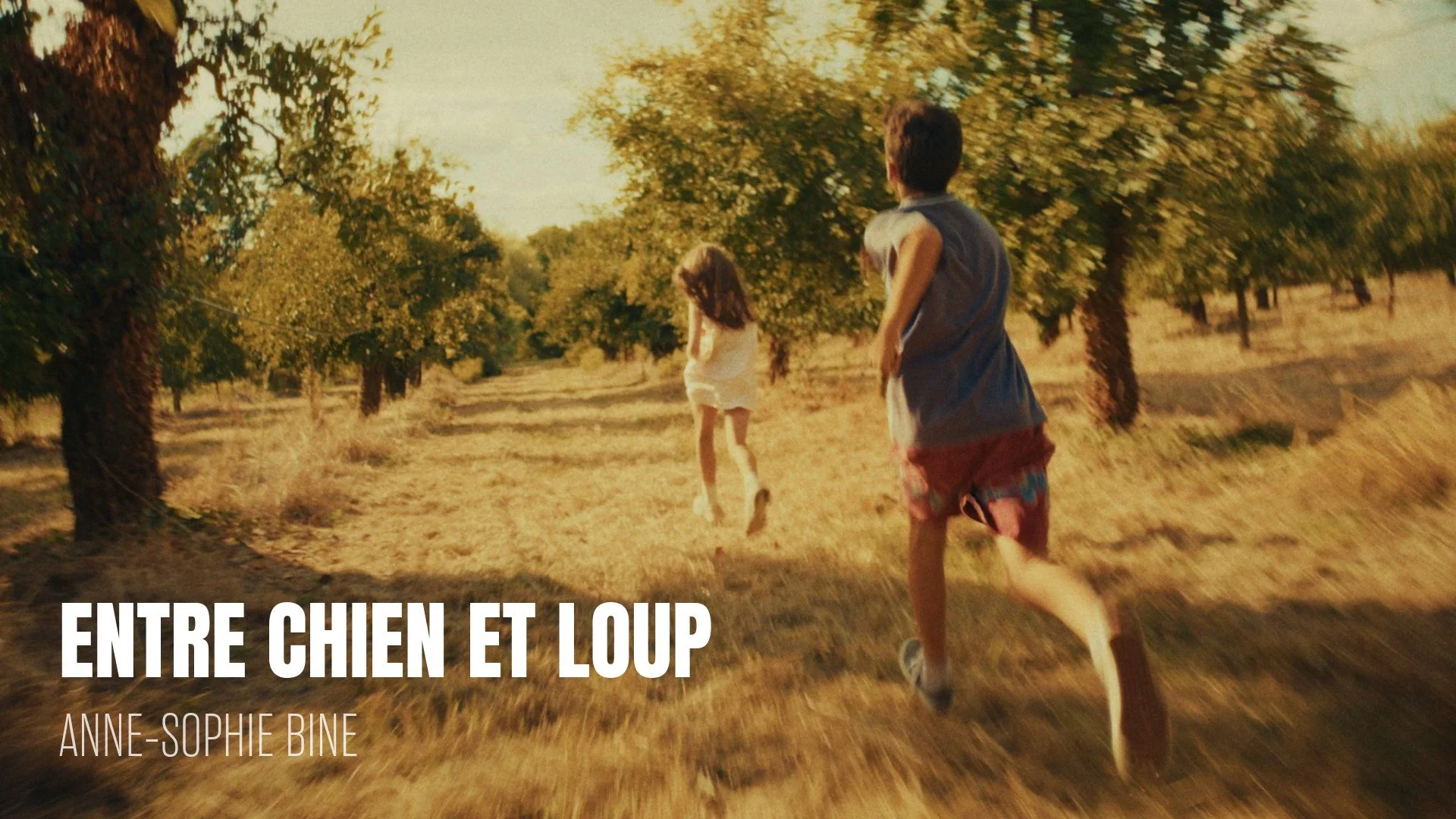 bannières FORMATS COURTS-39.jpeg