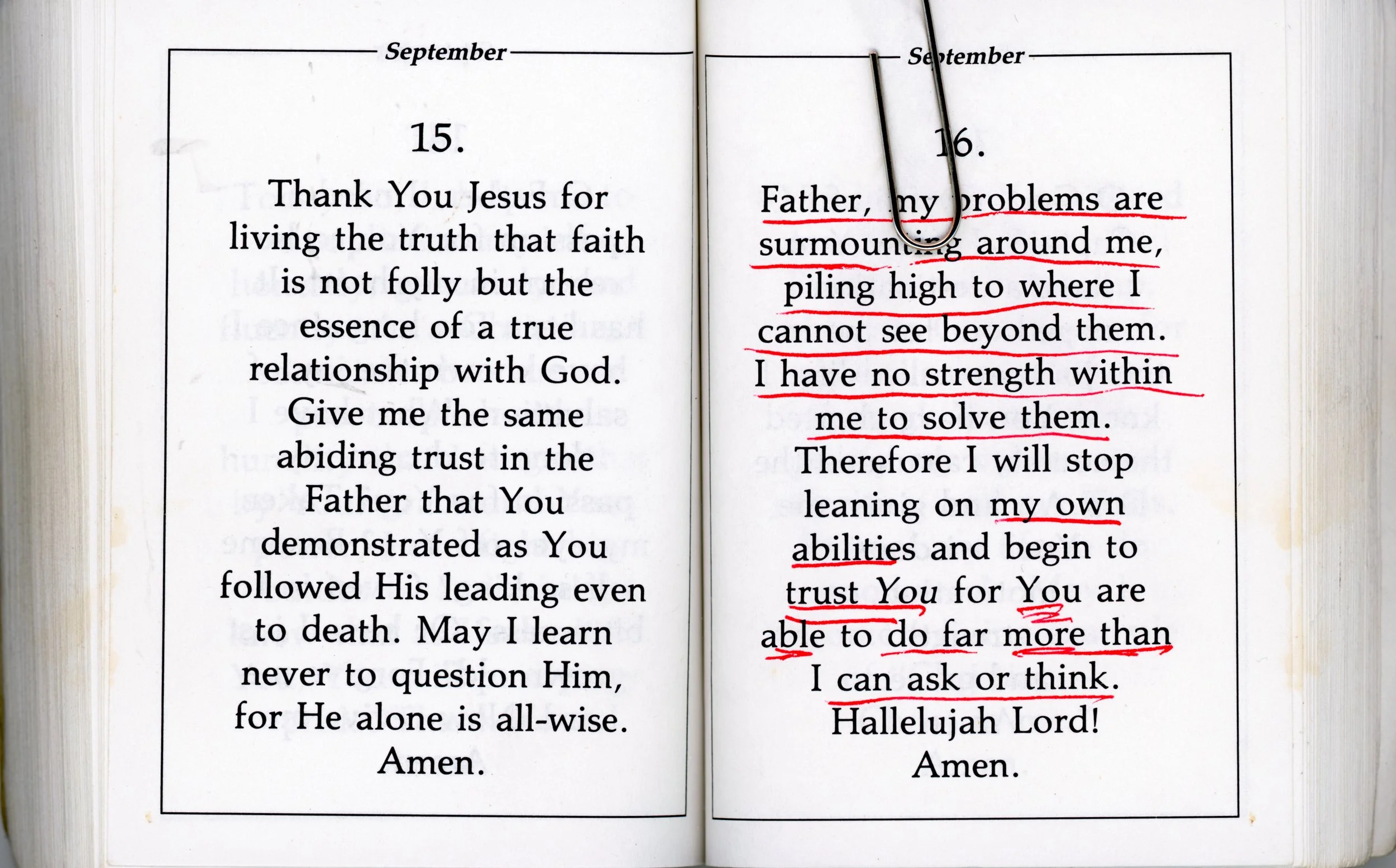 Perricone_Nina_THESIS_IMAGES_11.jpg