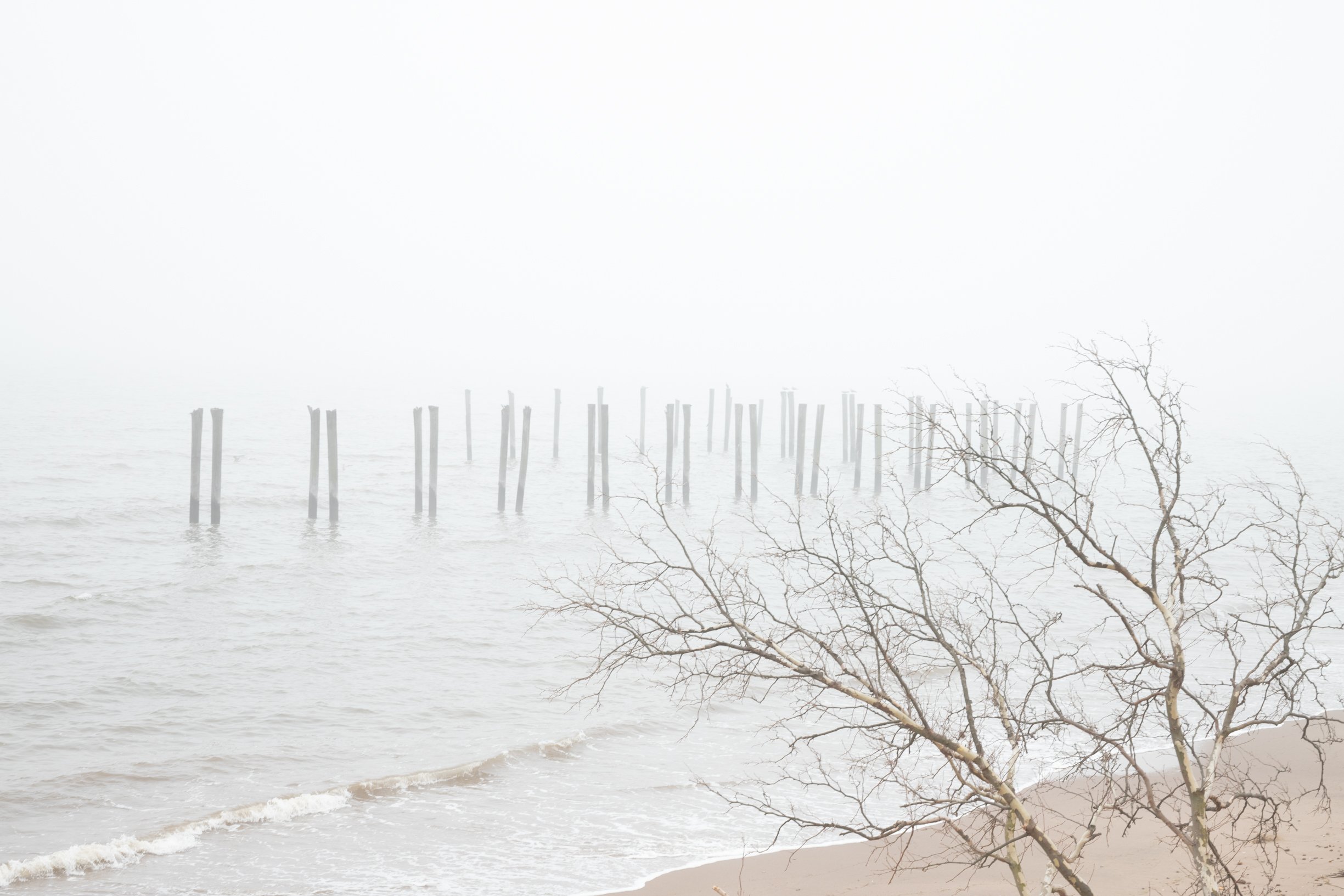 Gateway Beach, 2024