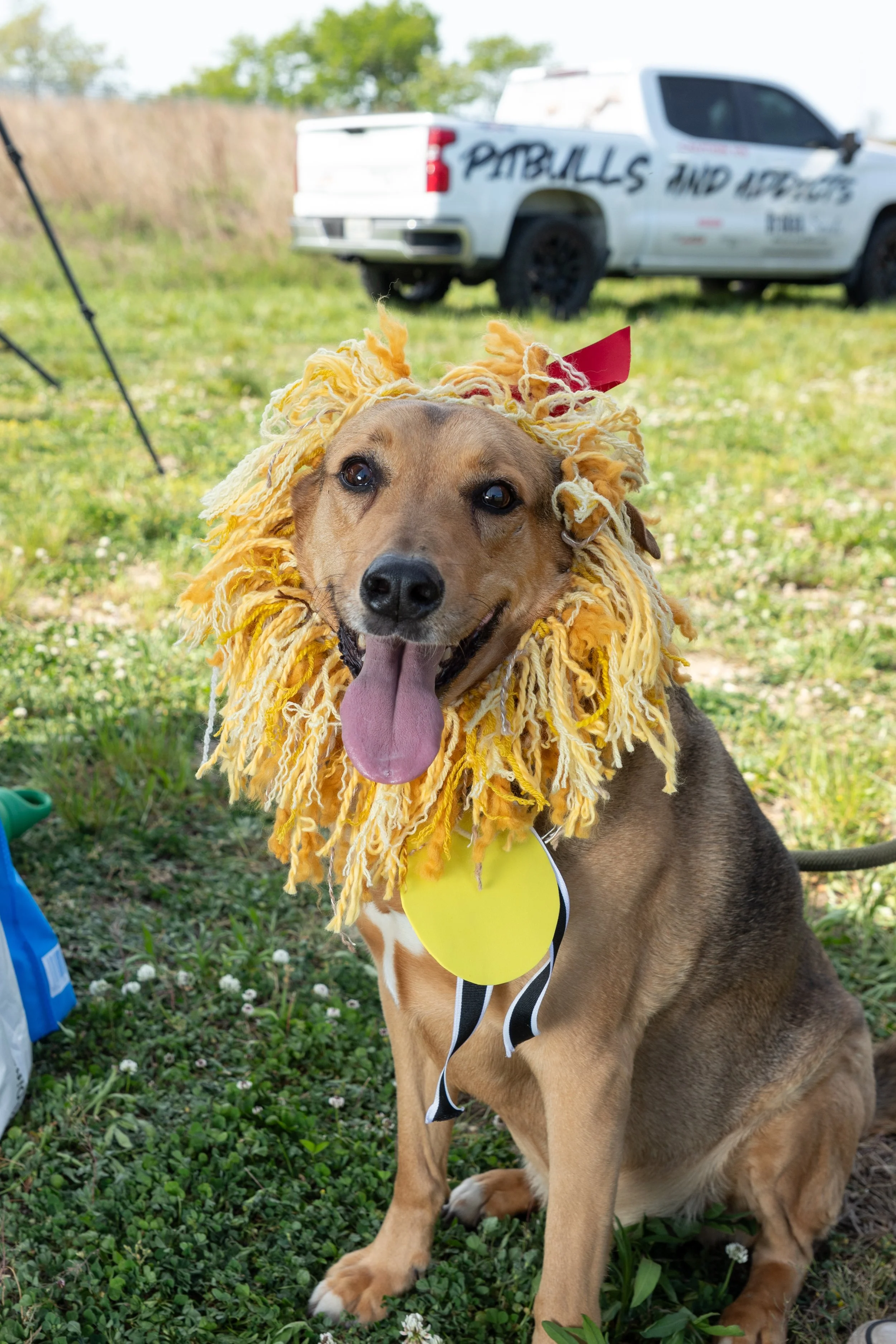 Perricone_Nina_FreshKillsDogParade_2026_013.jpg
