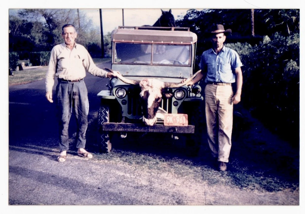 kauai-ranching-history-kekaha-antone-martin-lawrence-vidinha-wild-cow-old-army-jeep.jpg.jpeg