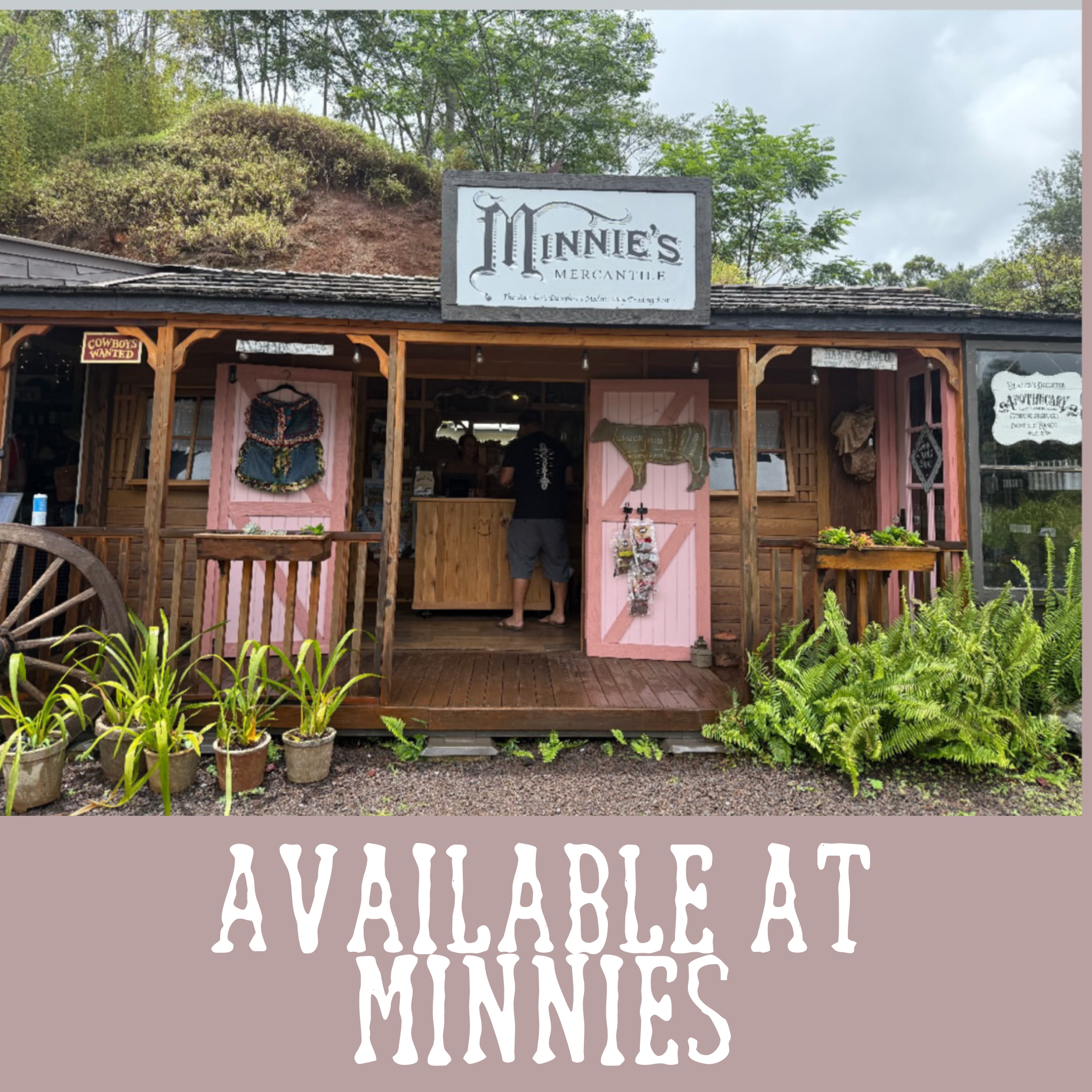Small rustic shop called Minnie's Mercantile with pink and wooden exterior, decorative signs, and plants in front, located in a natural setting with trees and a hillside.