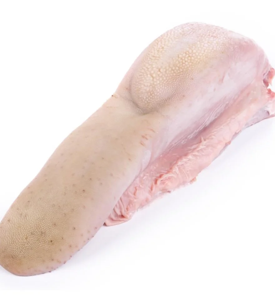 Tongue