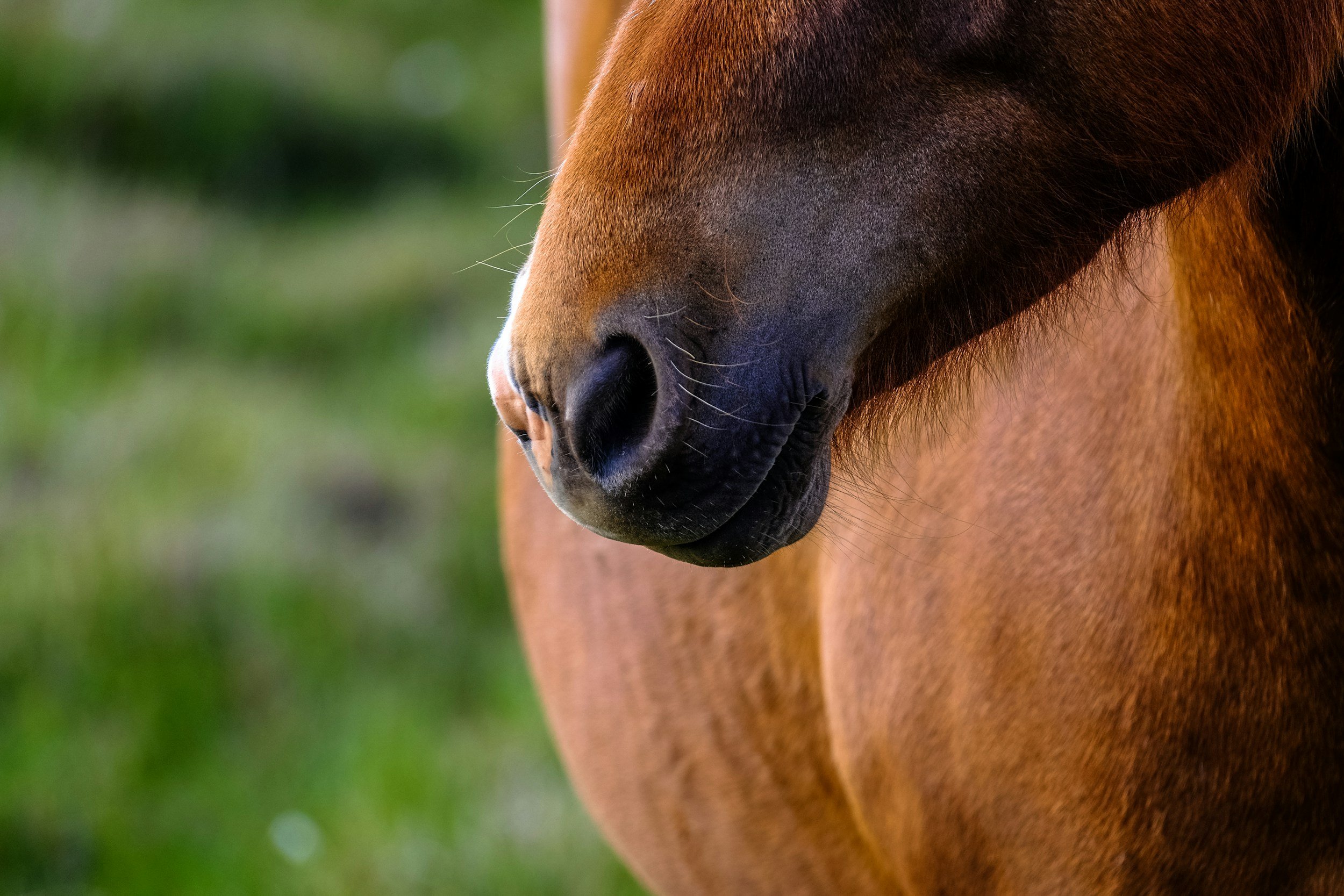 unsplash-image-aAadbV785t0.jpg