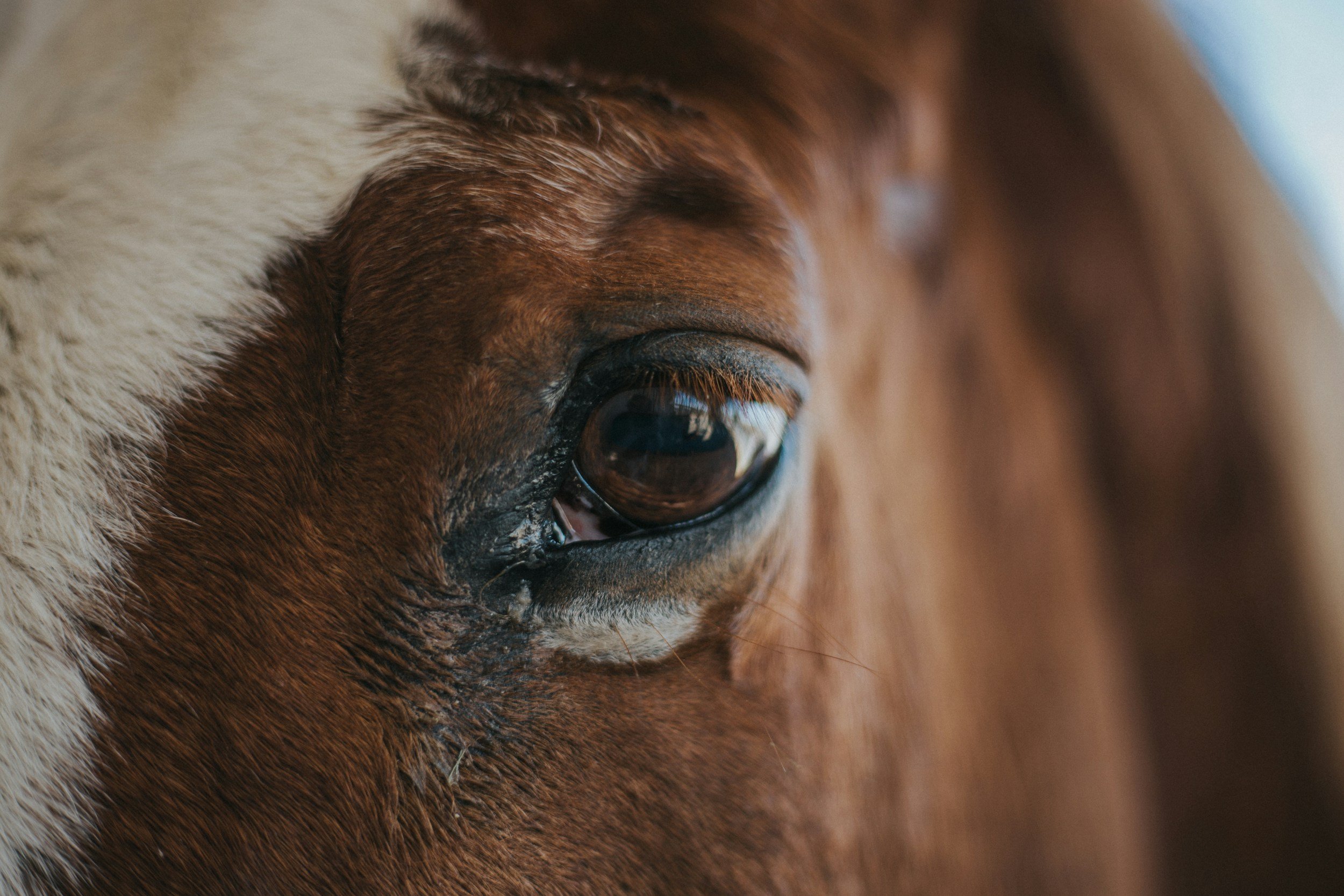 unsplash-image-0QmNsvCZsRY.jpg