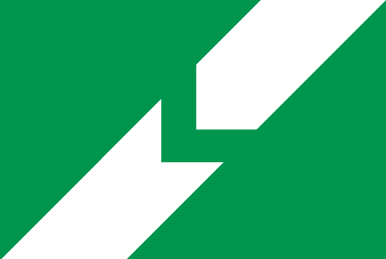 Close-up of a green background with white geometric shapes.