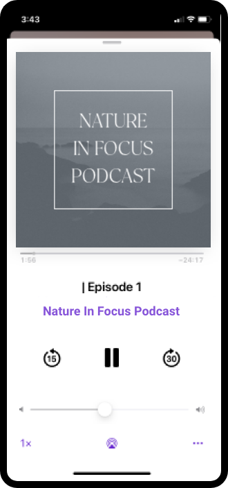 podcast app