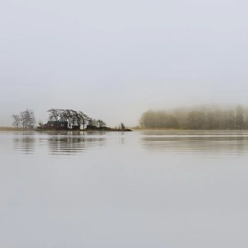 lake with trees