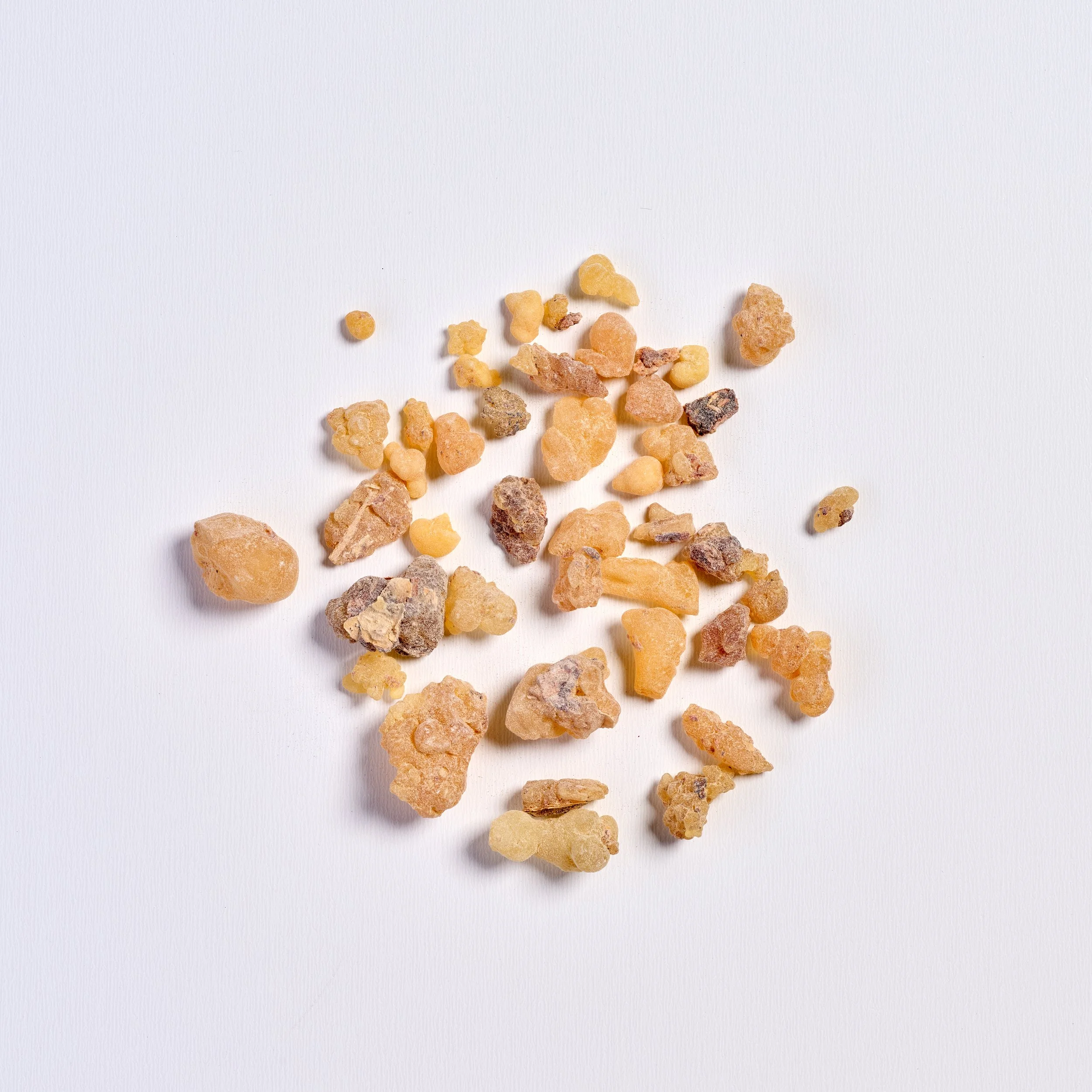 Ingredient Boswellia Serrata.jpg