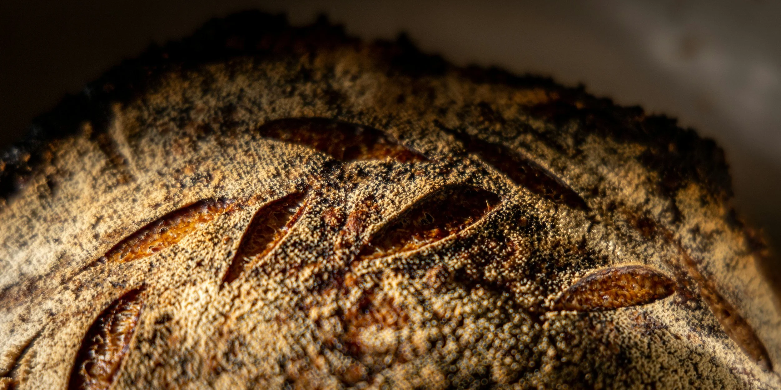 Close-up of a freshly baked loaf of bread with a crusty, golden-brown surface and decorative scoring patterns.