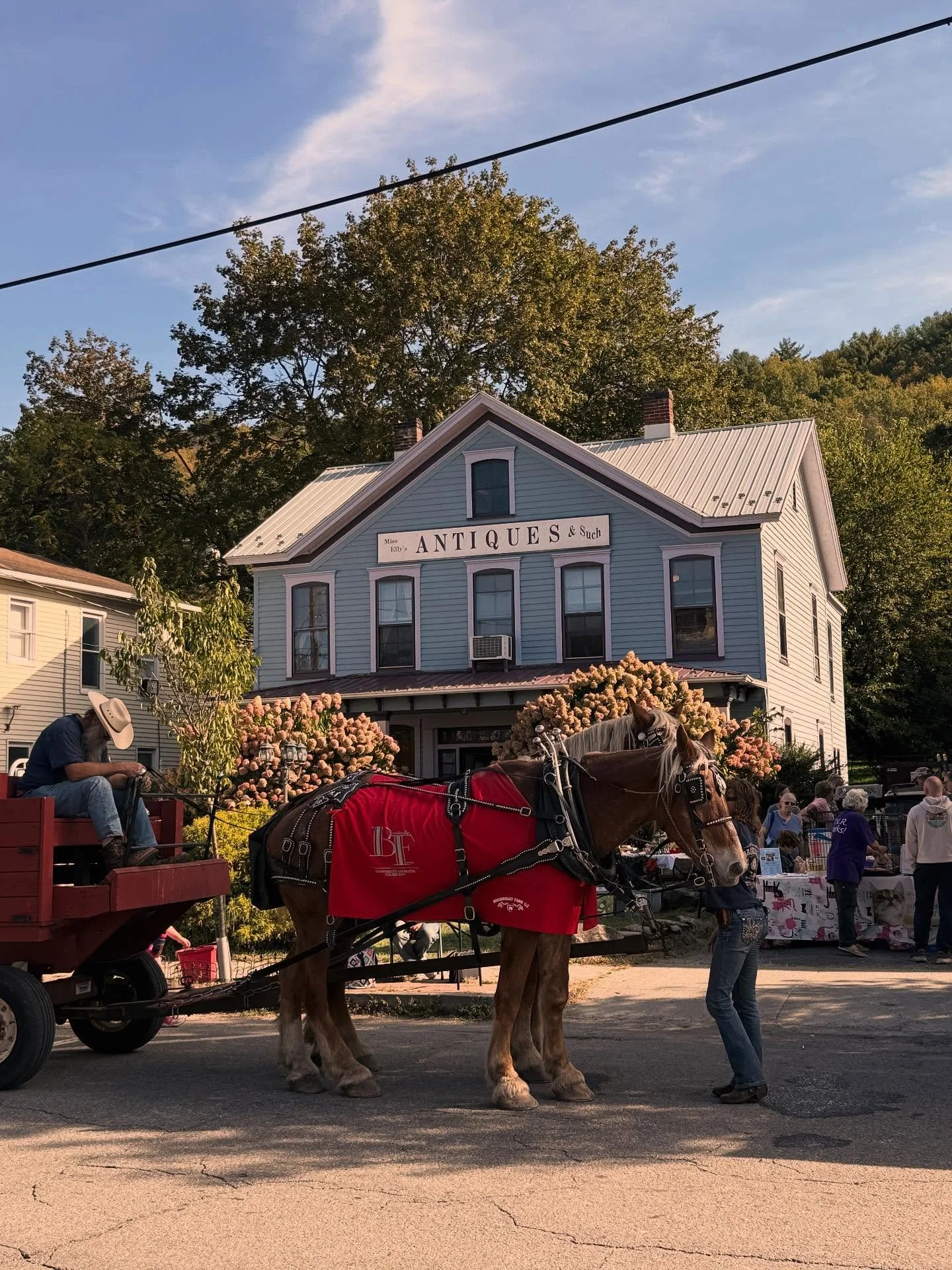 Join us again tomorrow for the last day of the Hawley Harvest Hoedown 10-3 for family day! Find us in front of Miss Elly&rsquo;s Antiques and things.
