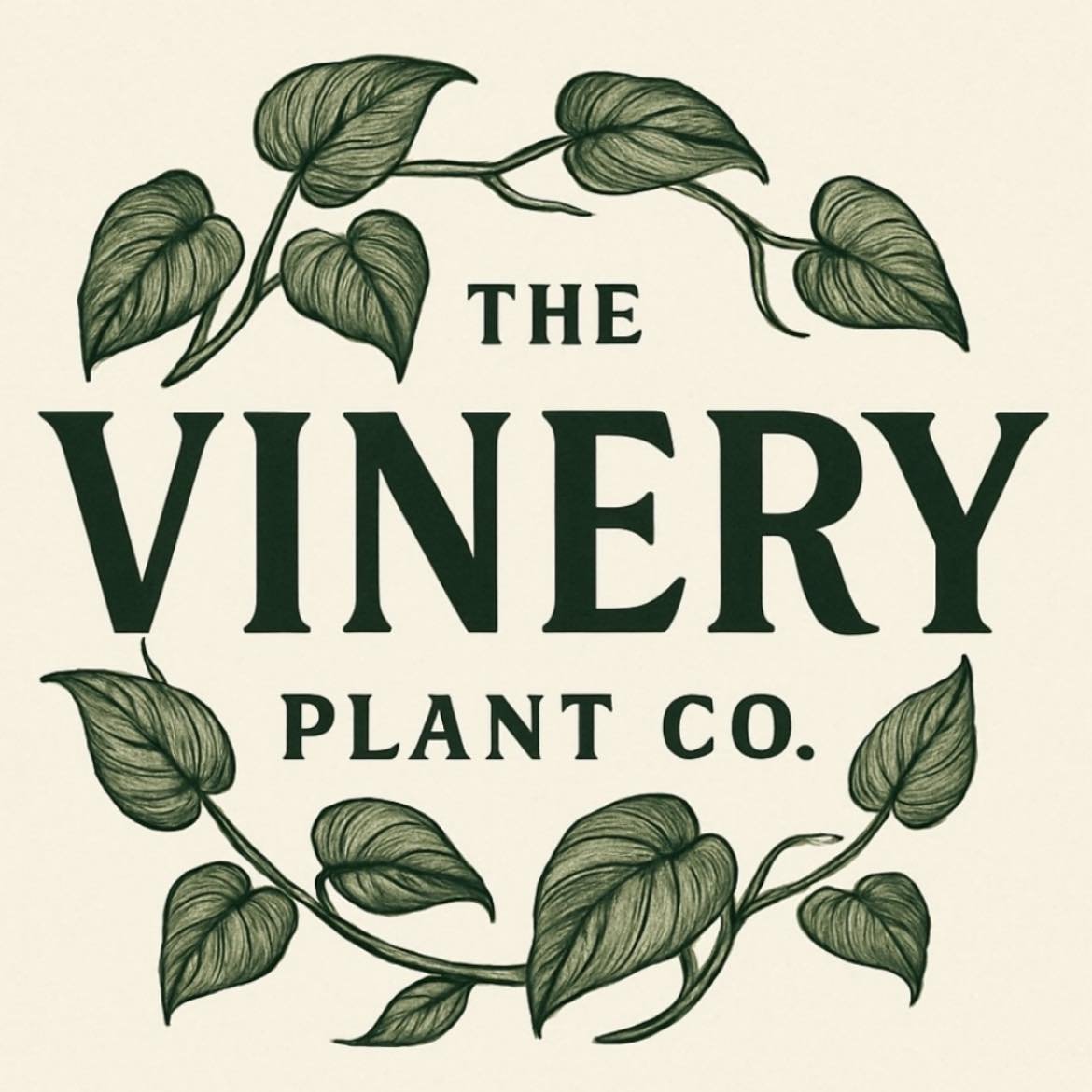 The Vinery Plant Co.