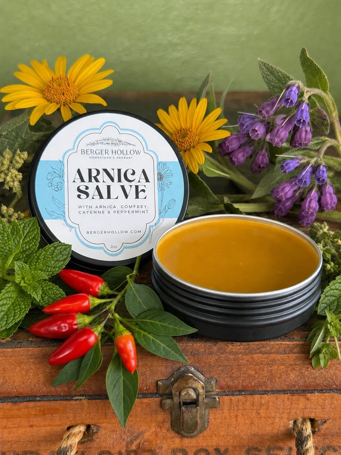 Arnica Pain Salve
