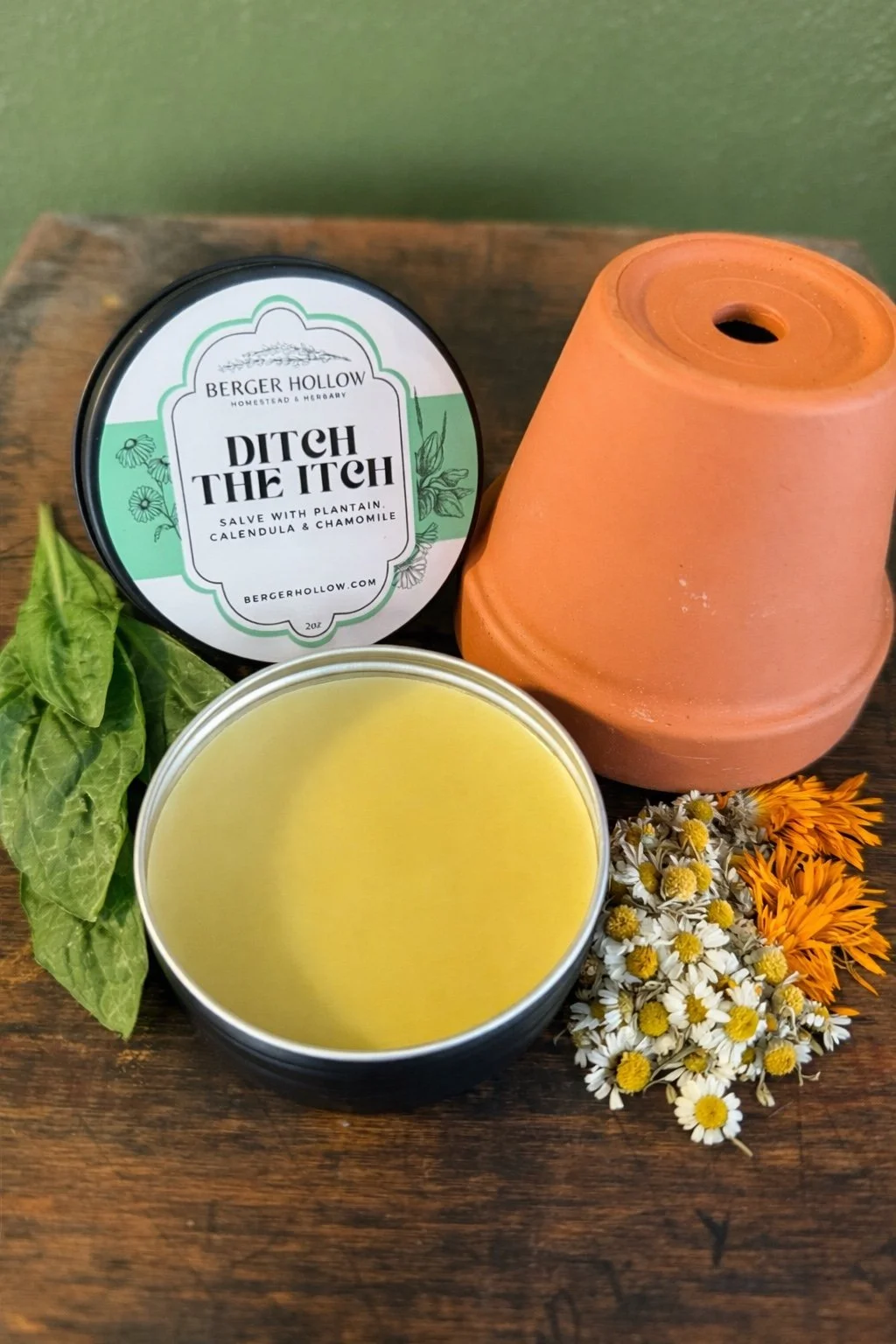 Ditch the Itch Salve with Plantain