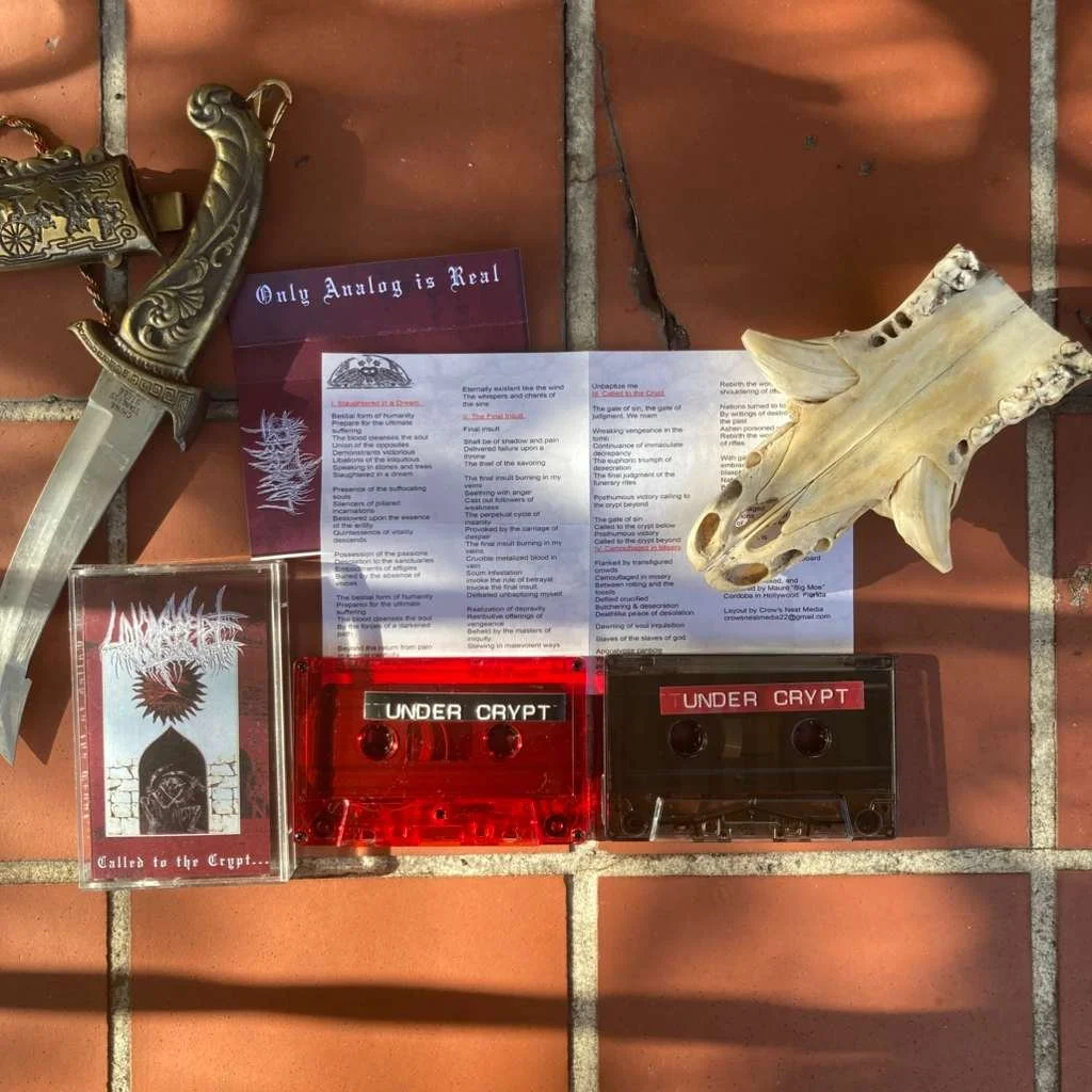 WhatsApp Image 2026-04-10 at 10.00.19 AM.jpeg