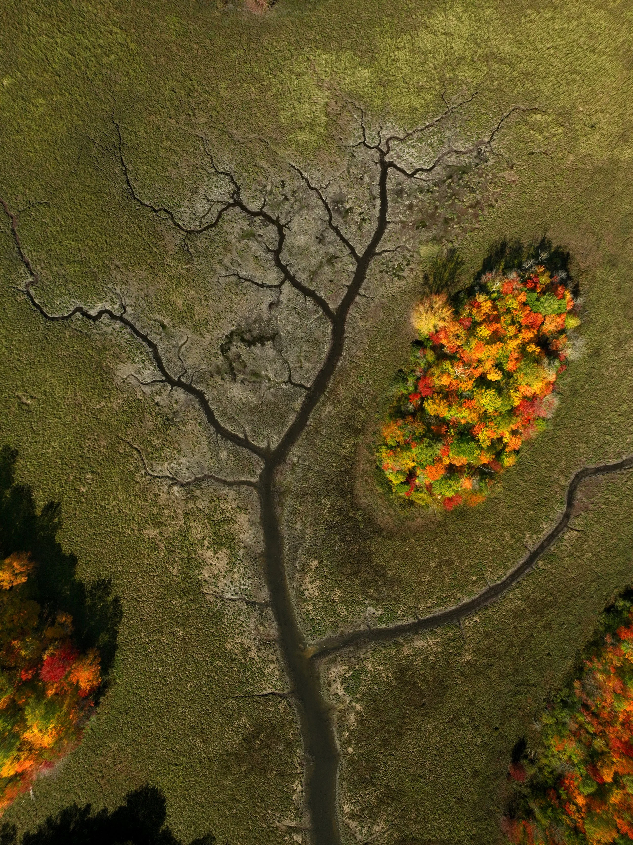 DJI_0004vert.jpg