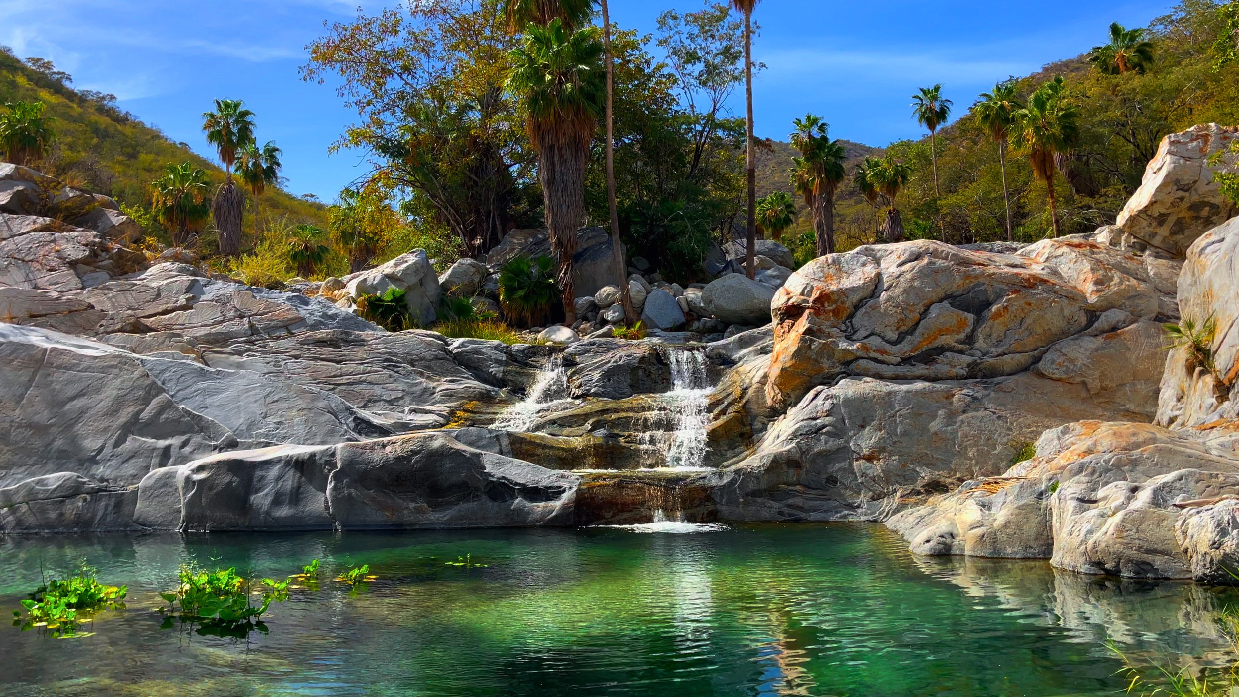 Waterfalls.jpg