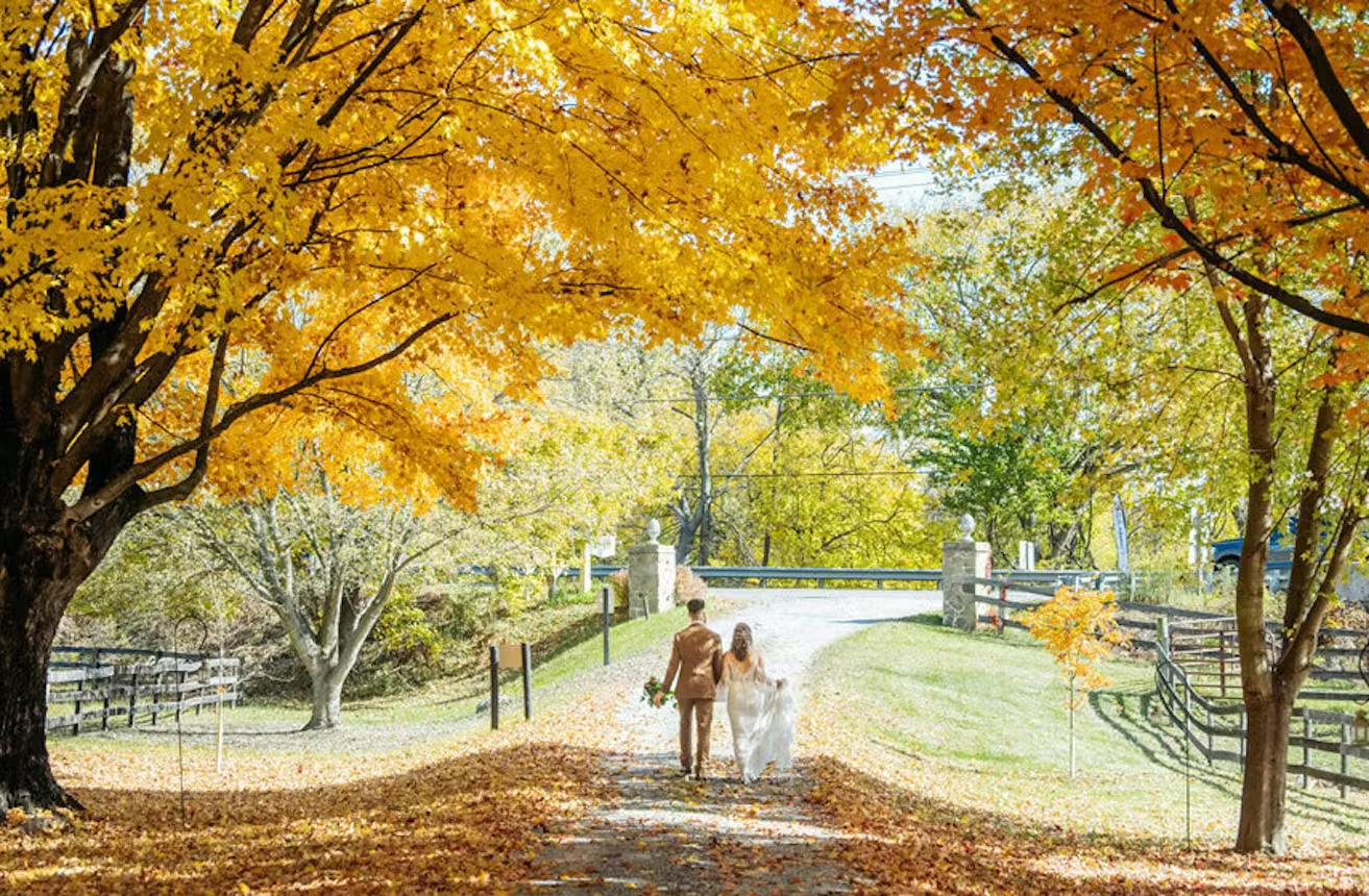 Shiloh Manor Farm.png