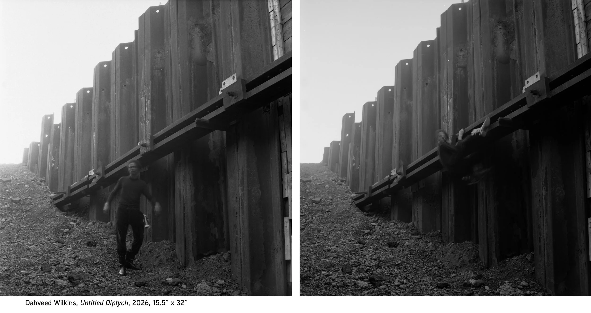 Untitled diptych 2.jpg