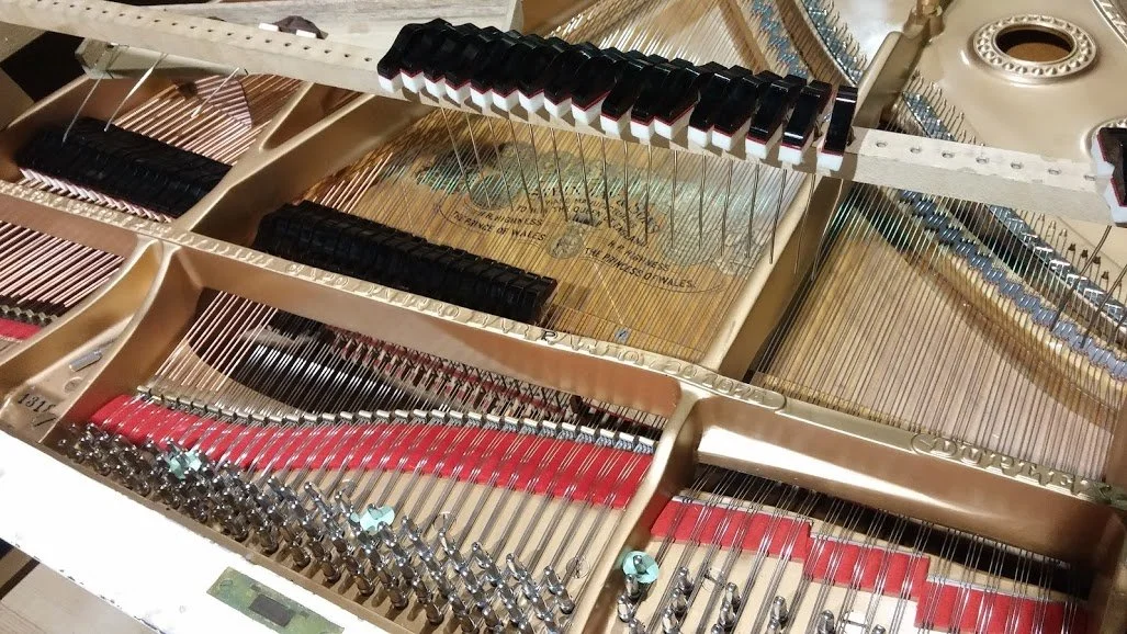 steinway-m-rebuild-damper-felt-replacement.jpg