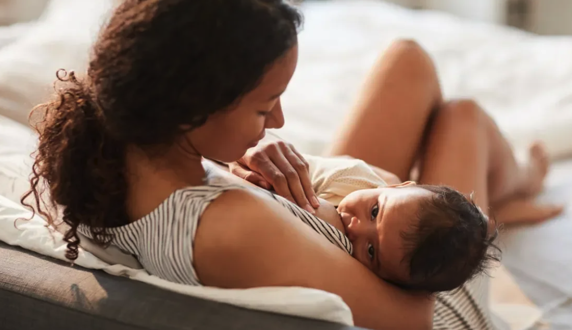 DNT Network Certification Bundle & Saving