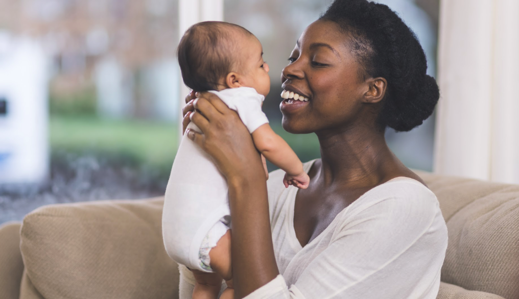 DNT Network Certification Bundle & Saving