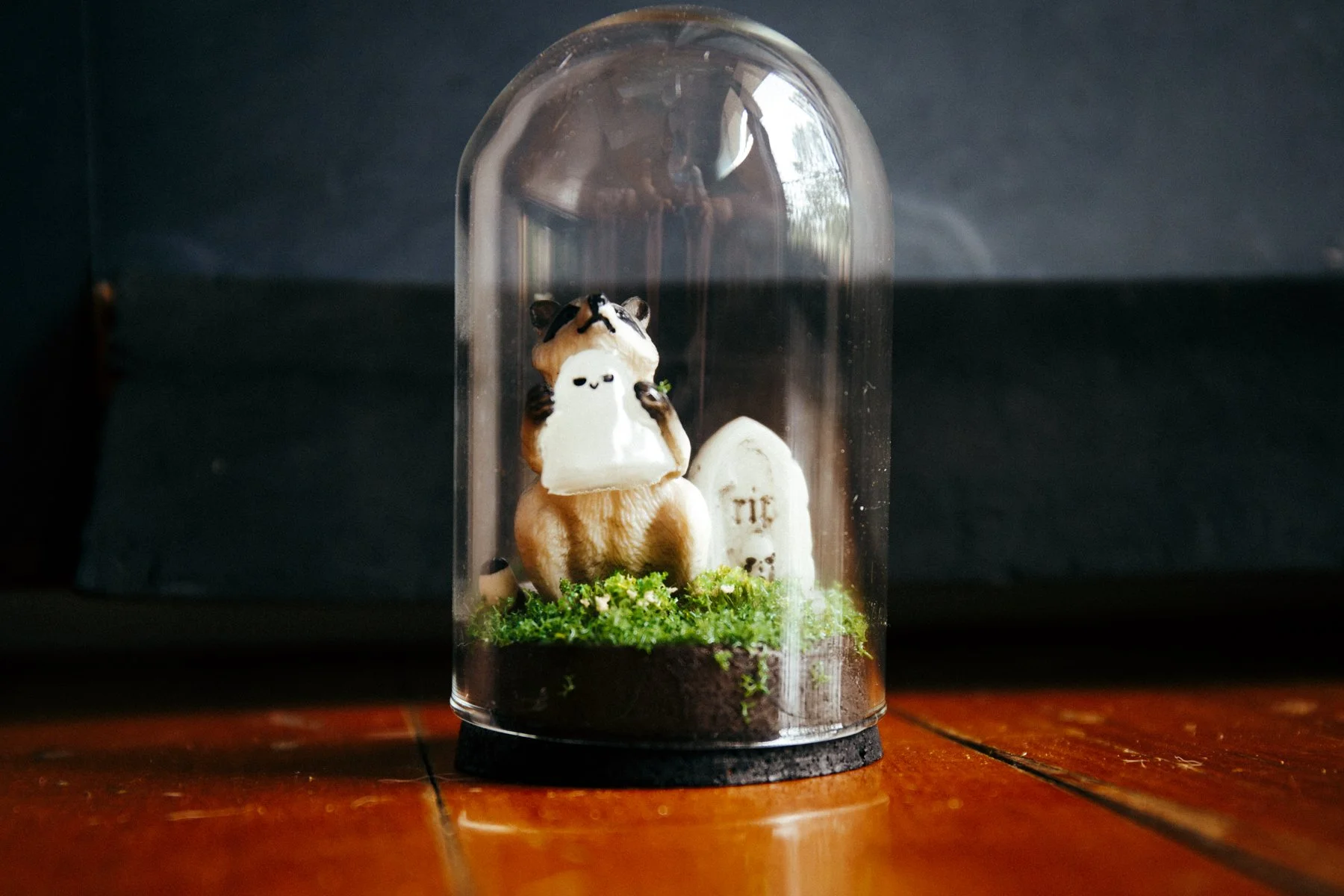 241225 (6 of 15).jpg