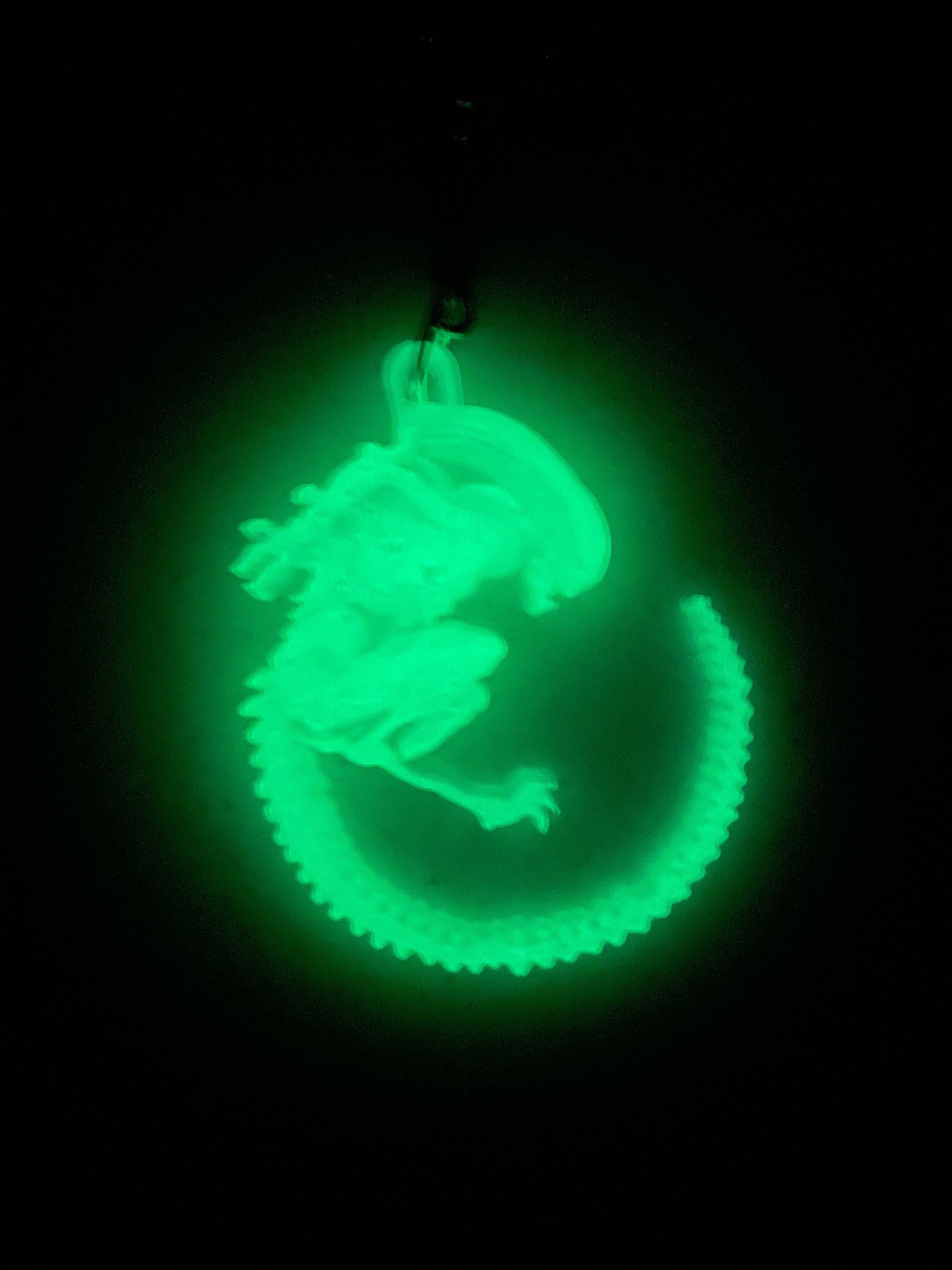 https://i.etsystatic.com/51429165/r/il/73611d/6102071510/il_fullxfull.6102071510_5thl.jpg
