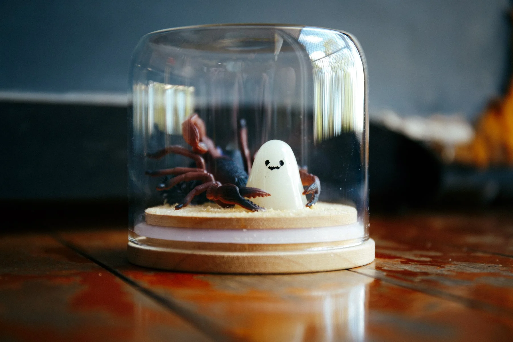 070226 (5 of 30).jpg