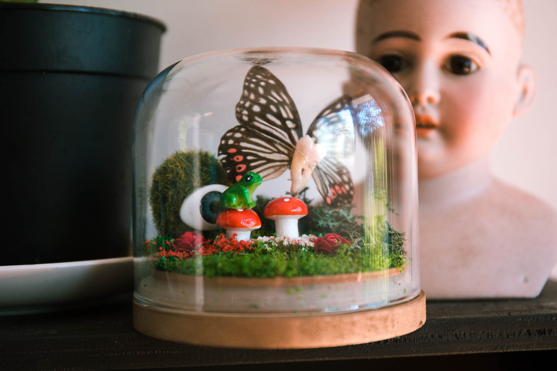 Tooth Fairy Domes