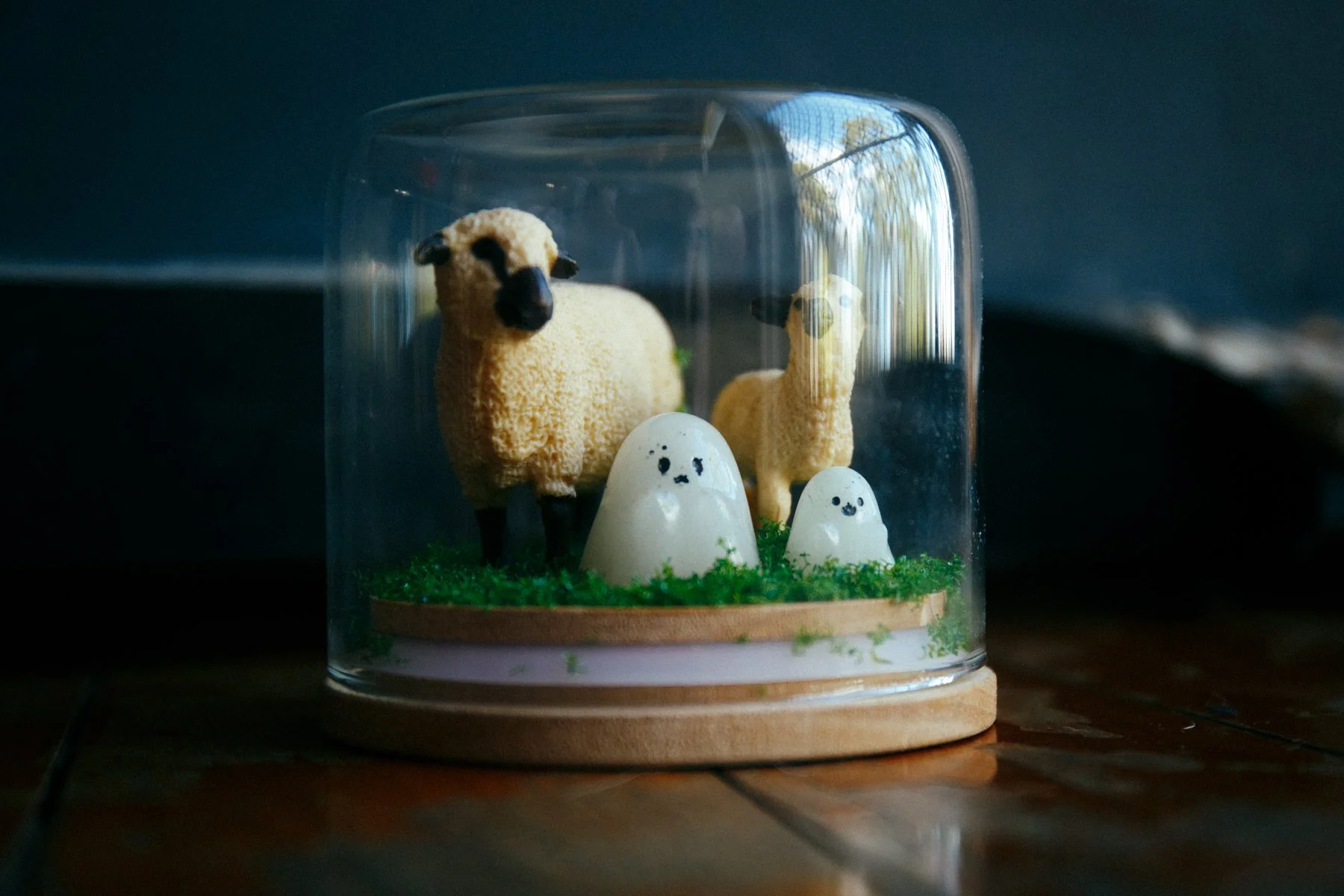 070226 (1 of 30).jpg