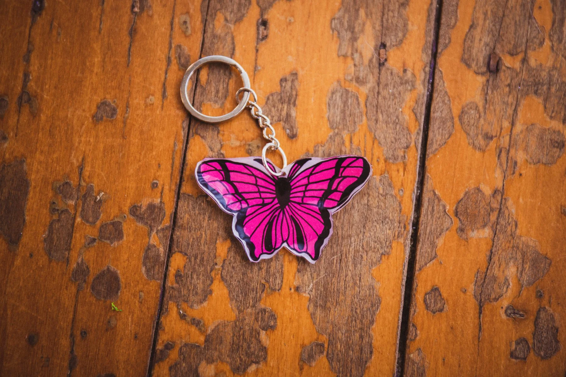product240526 (40 of 53).jpg
