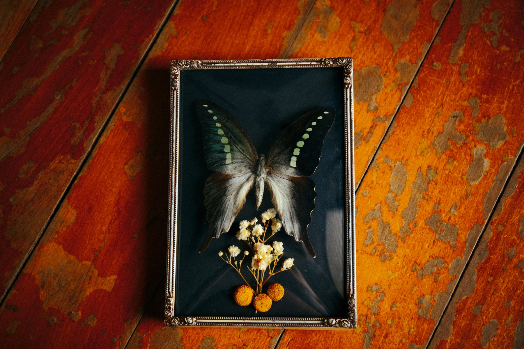 070226 (22 of 30).jpg