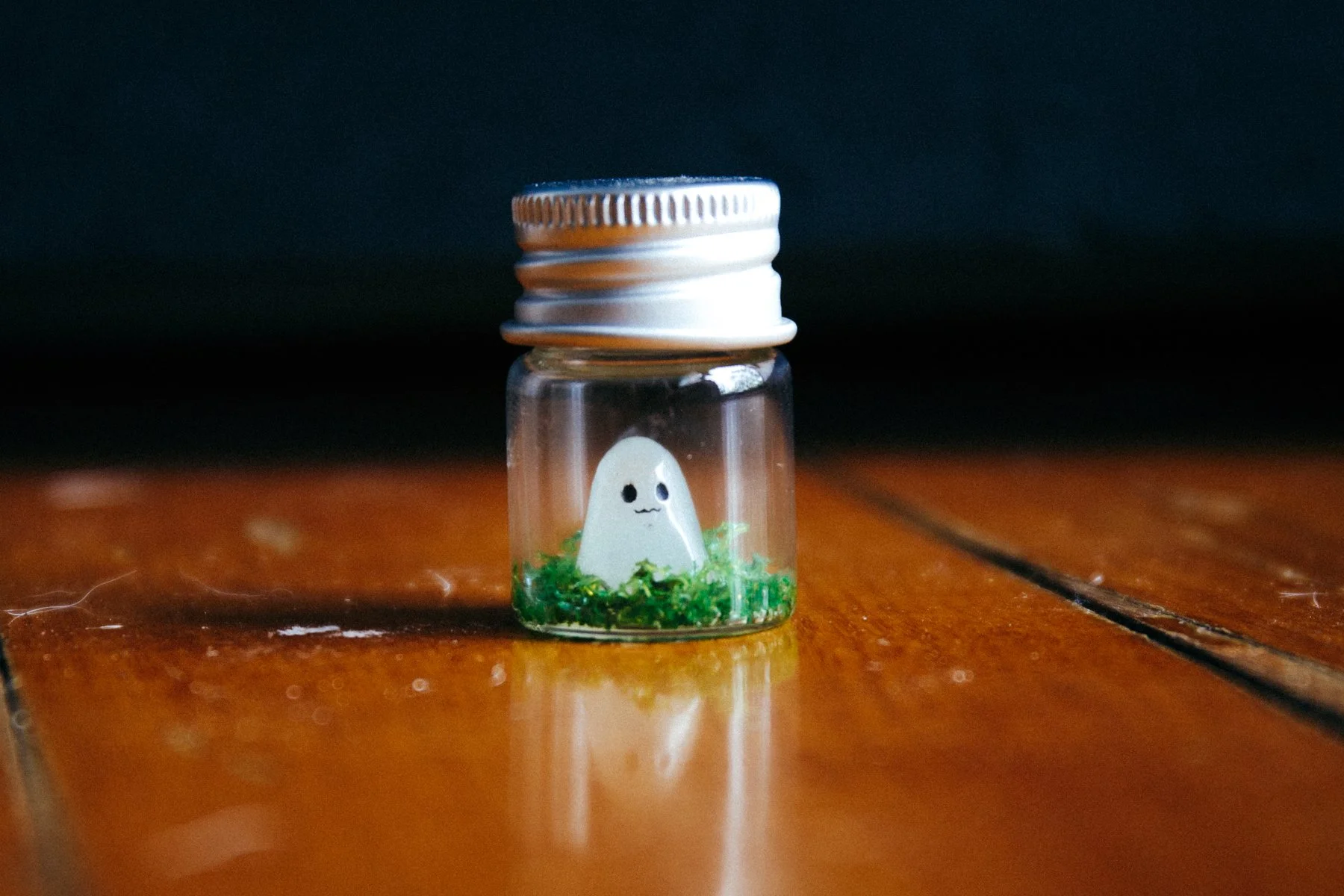 241225 (13 of 15).jpg